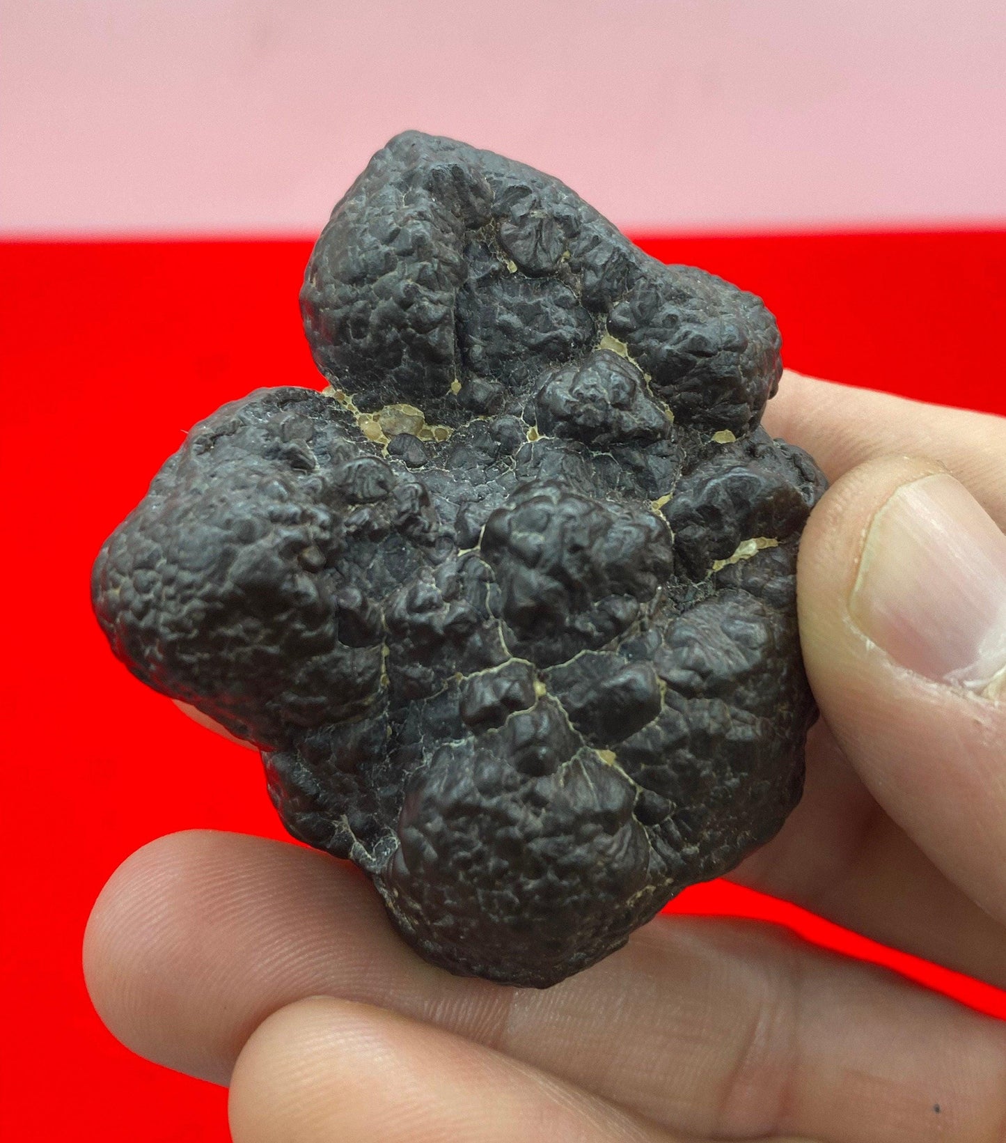 Rare abstract shaped Prophecy Stone from Egypt, Round Stone, Inner Vision, Dreamwork stone, Reiki, Rock Collection, 101.97 grams
