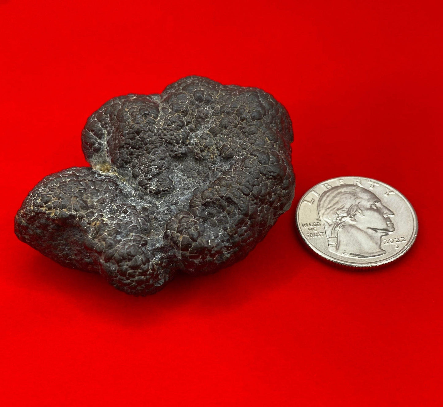 Rare abstract shaped Prophecy Stone from Egypt, Round Stone, Inner Vision, Dreamwork stone, Reiki, Rock Collection, 101.97 grams
