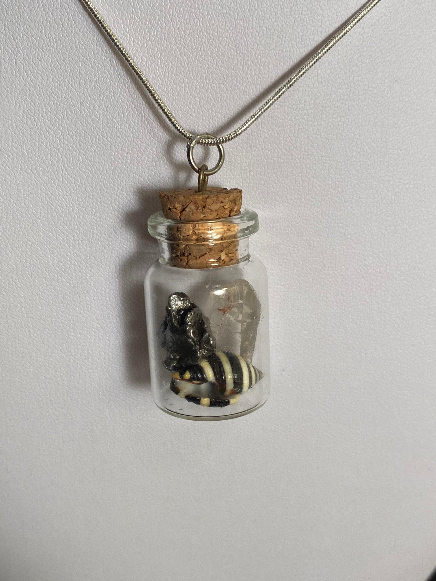 Earth, Water and Space in a Bottle Pendant (Himalayan Quartz, Beehive Shell, Meteorite)