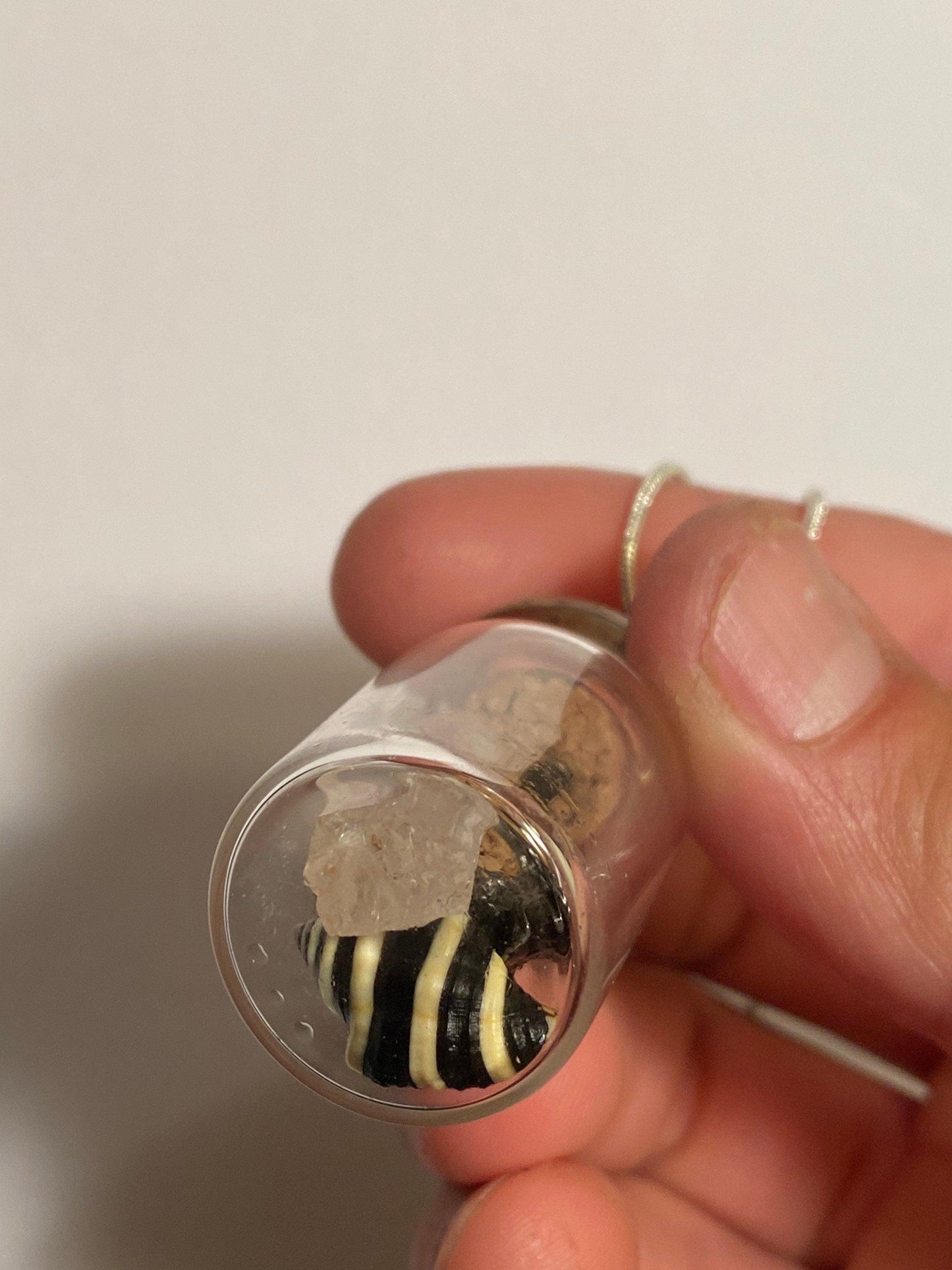 Earth, Water and Space in a Bottle Pendant (Himalayan Quartz, Beehive Shell, Meteorite)