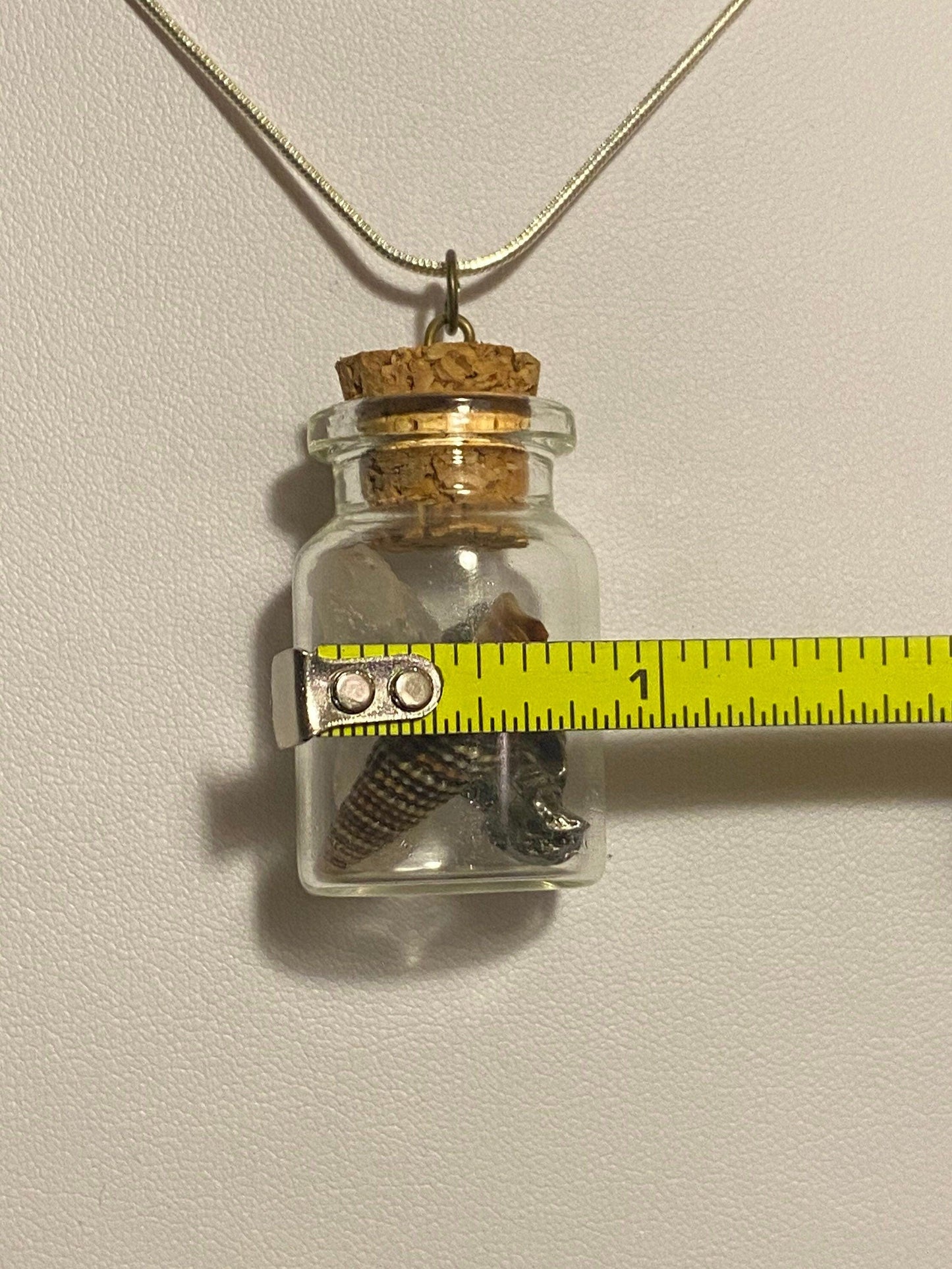 Earth, Water and Space in a Bottle Pendant (Himalayan Quartz, Cerithium Shell, Meteorite)