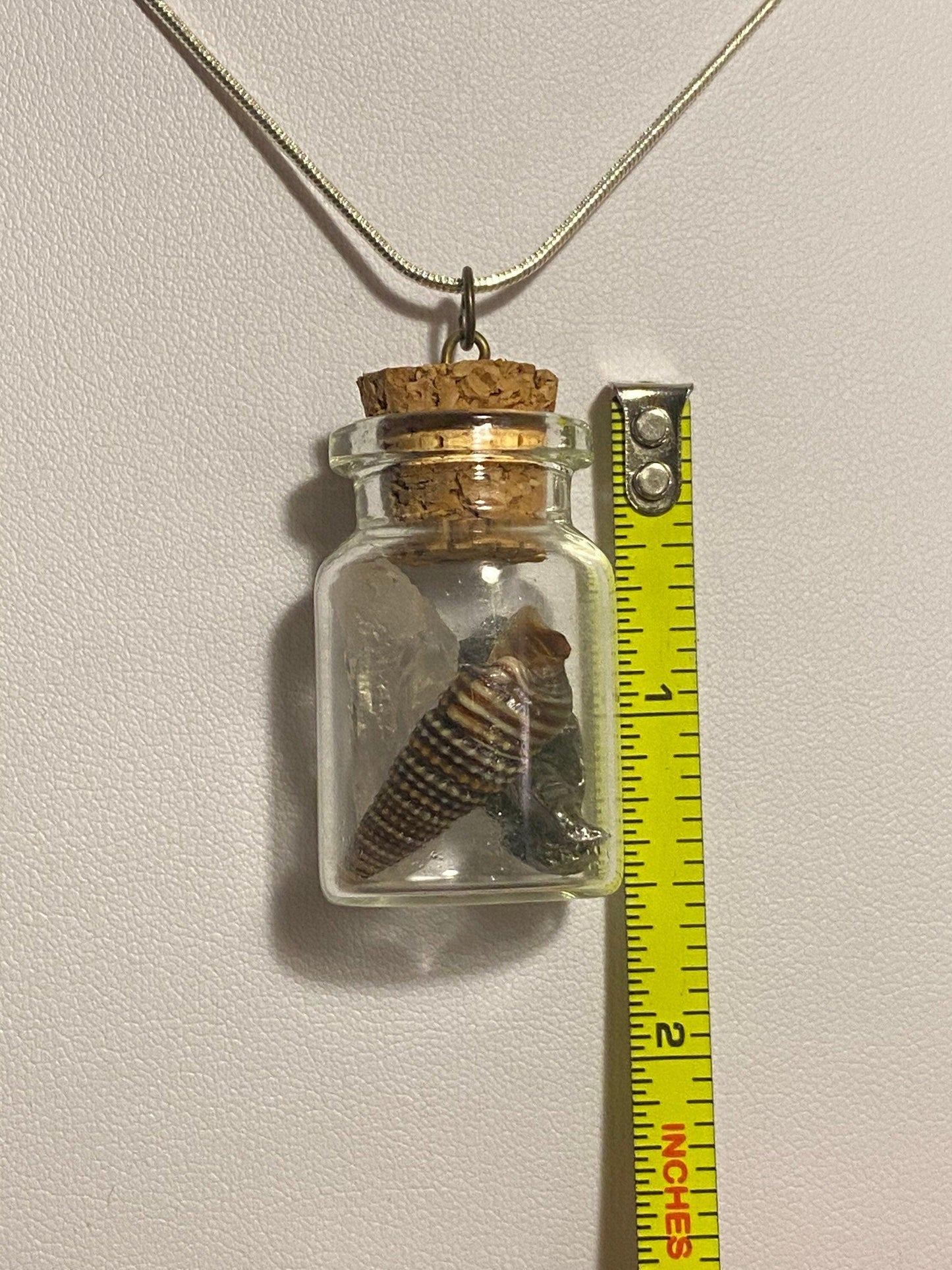 Earth, Water and Space in a Bottle Pendant (Himalayan Quartz, Cerithium Shell, Meteorite)