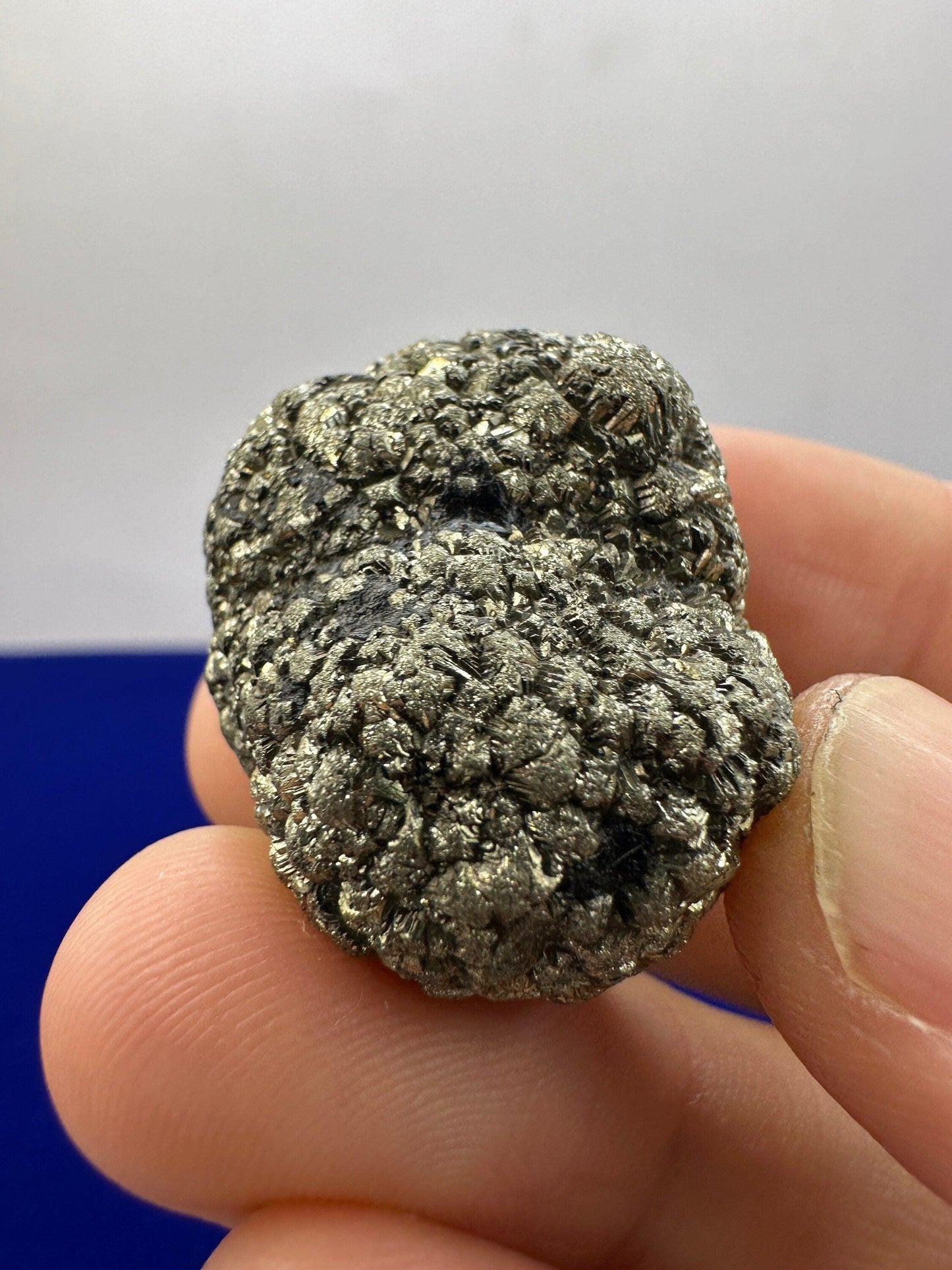 Golden Prophecy Stone, Rare and Unique, Marcasite Nodule, Crystal of Protection, Pyrite, Reiki, Rock Collection, Transformation, 37.30 grams