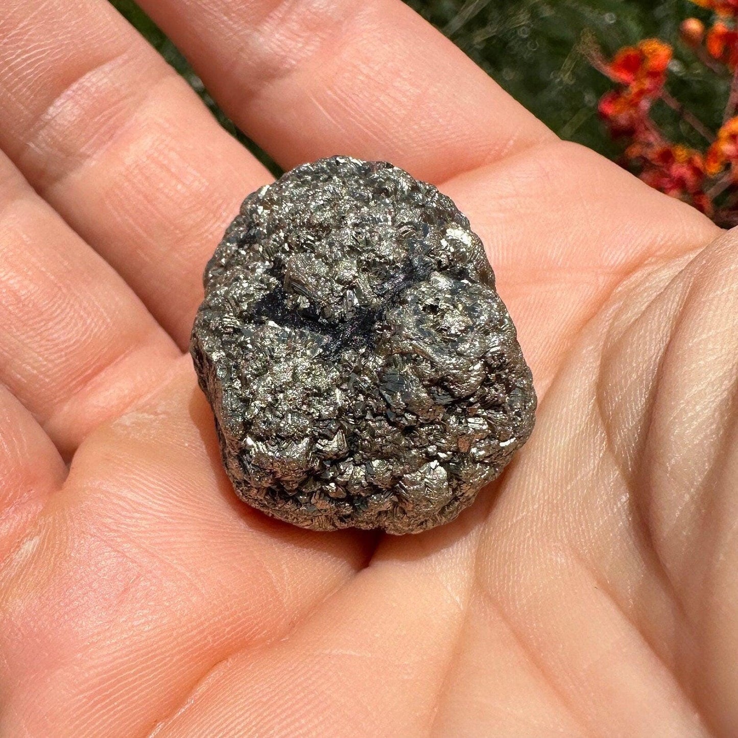 Golden Prophecy Stone, Rare and Unique, Marcasite Nodule, Crystal of Protection, Pyrite, Reiki, Rock Collection, Transformation, 37.30 grams