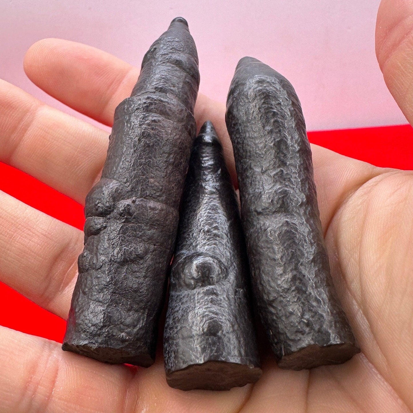 Rare and Unique Large Elongated Prophecy Stones from Egypt, Lot of Three, Witches Fingers, Authentic, Inner Vision, Dreamwork, 147.97 grams