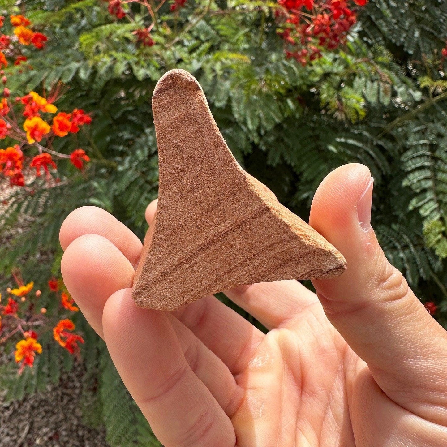 Rare and Unique Sandstone Sculpture from Southern Utah, Natural, Shinarump, Sandstone, Sandstone Specimen, Rock Collection, 6.3 ounces