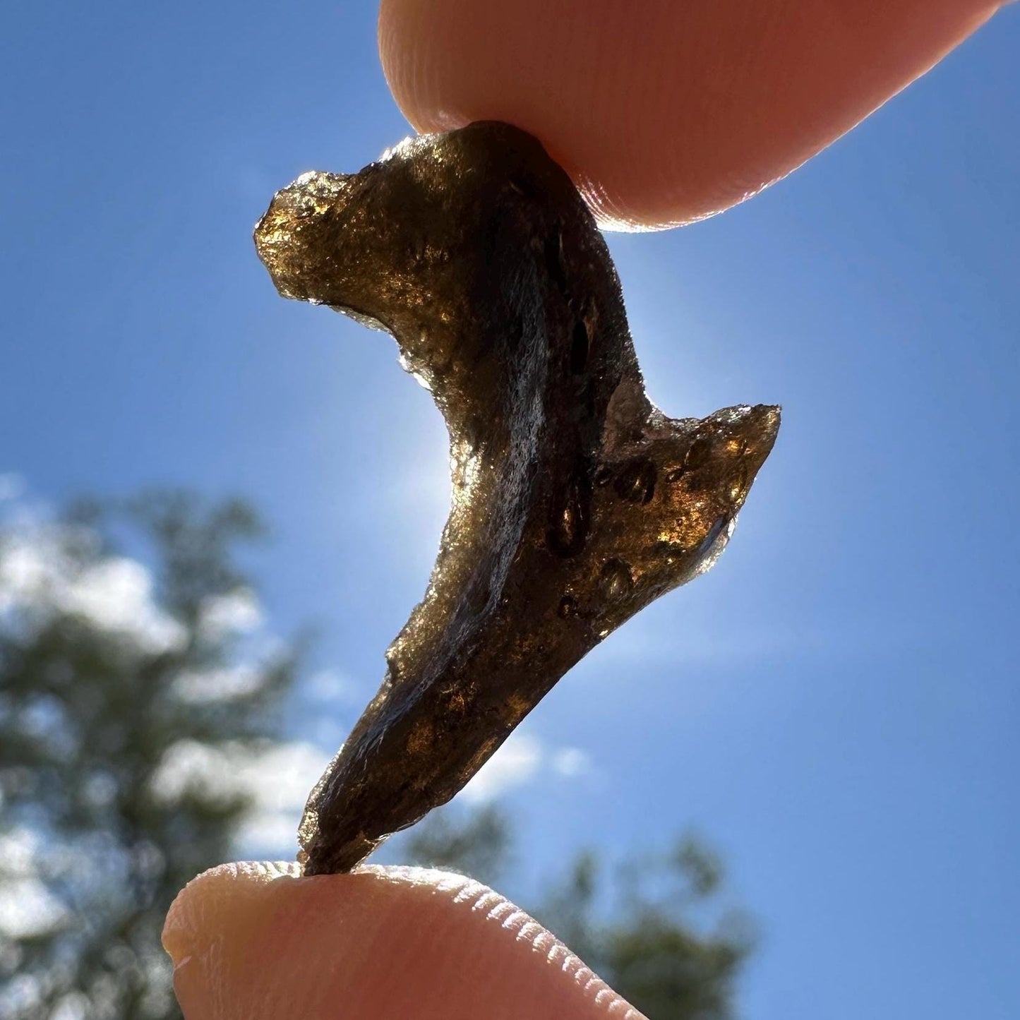 Darwin Glass, Darwinite, Tektite, Grounding, Manifestation Talisman, Tasmania, Astronomy Gift, Tektite Collection, 2.21 grams