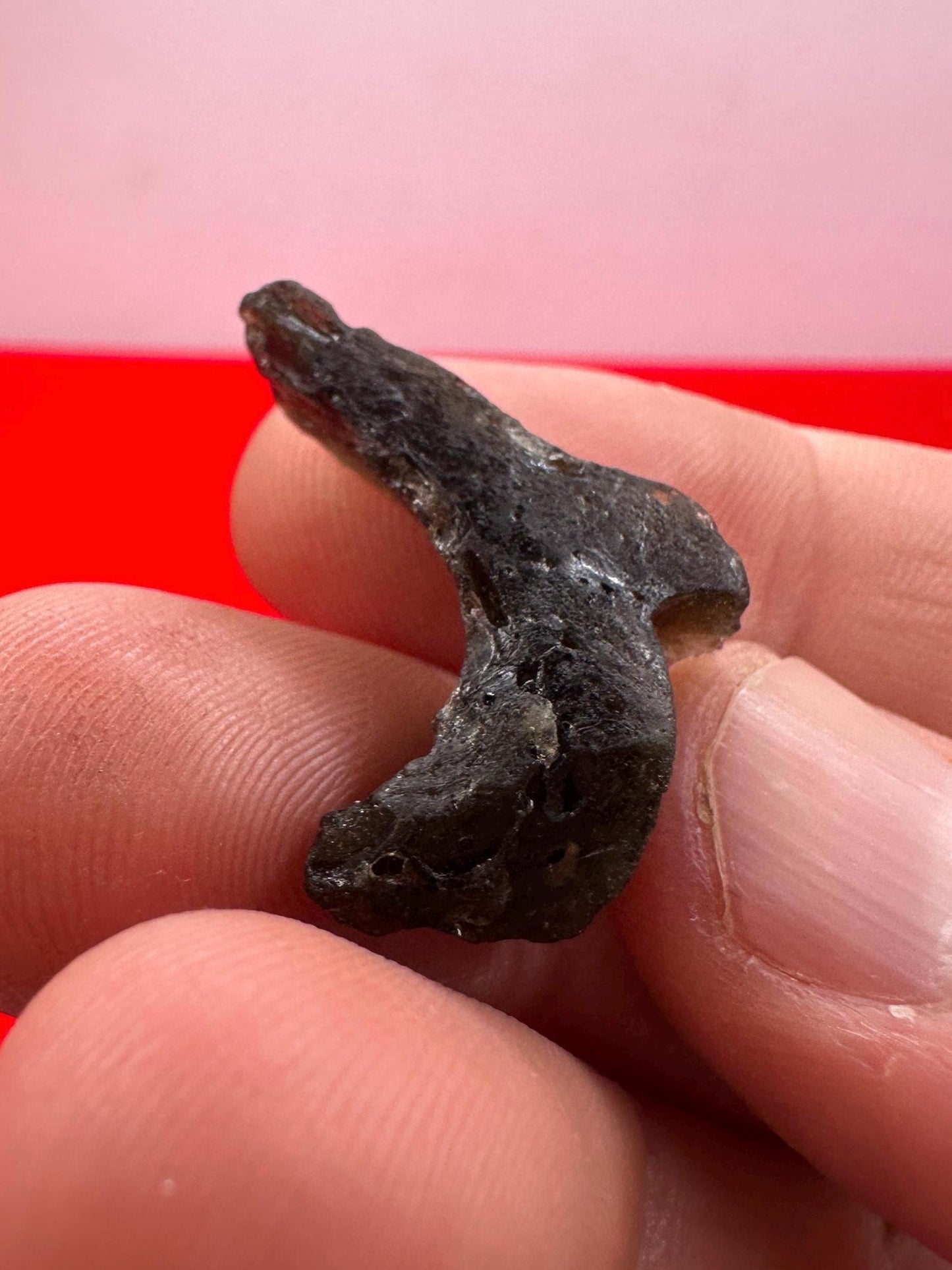 Darwin Glass, Darwinite, Tektite, Grounding, Manifestation Talisman, Tasmania, Astronomy Gift, Tektite Collection, 2.21 grams
