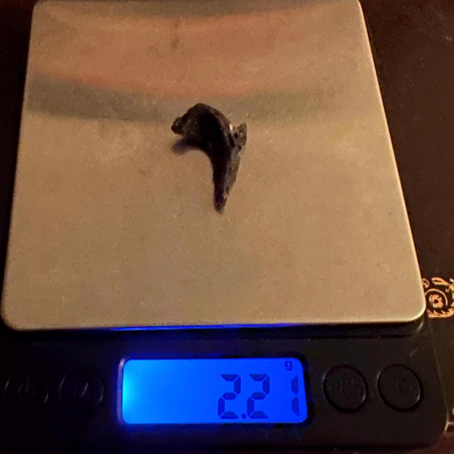 Darwin Glass, Darwinite, Tektite, Grounding, Manifestation Talisman, Tasmania, Astronomy Gift, Tektite Collection, 2.21 grams