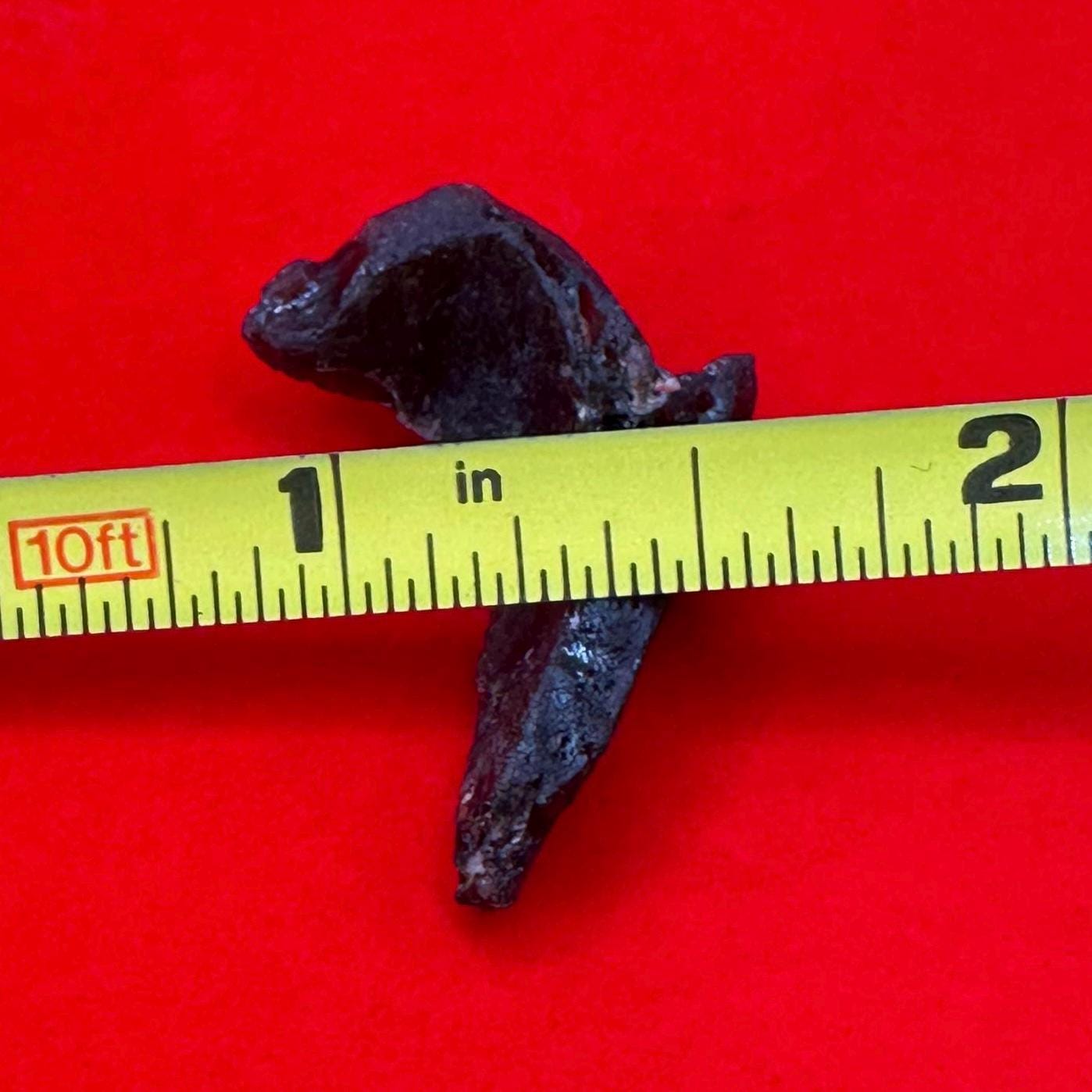 Darwin Glass, Darwinite, Tektite, Grounding, Manifestation Talisman, Tasmania, Astronomy Gift, Tektite Collection, 2.21 grams