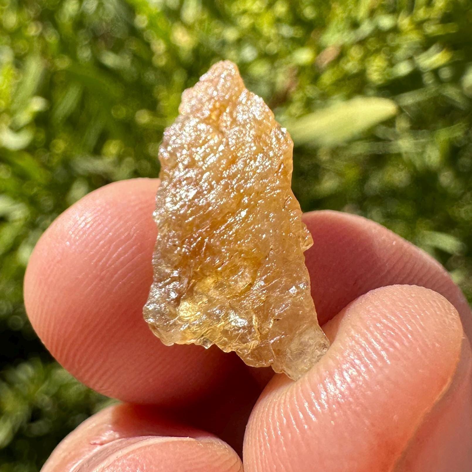 Rare Golden Brazilian Phenacite Crystal 2.09g, 10.45 carats, High-Vibration Energy Stone, Spiritual Growth, Transformation, and Meditation