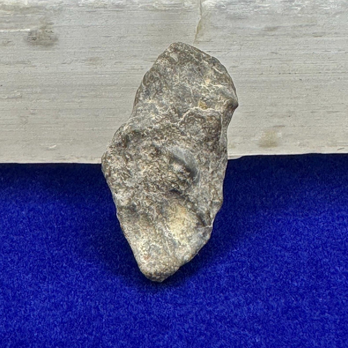 NWA 13974 Moon|Lunar Meteorite, Feldspathic Breccia, Moon Meteorite, Meteorite Collection, Lunar Feldspathic Breccia, 3.74 grams
