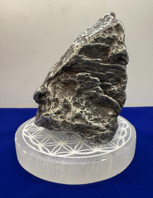 Beautiful Large 2.5 lbs Aletai Meteorite Specimen with Selenite Stand – Rare Space Rock, Office Decor, Collector’s Gift, COA Included