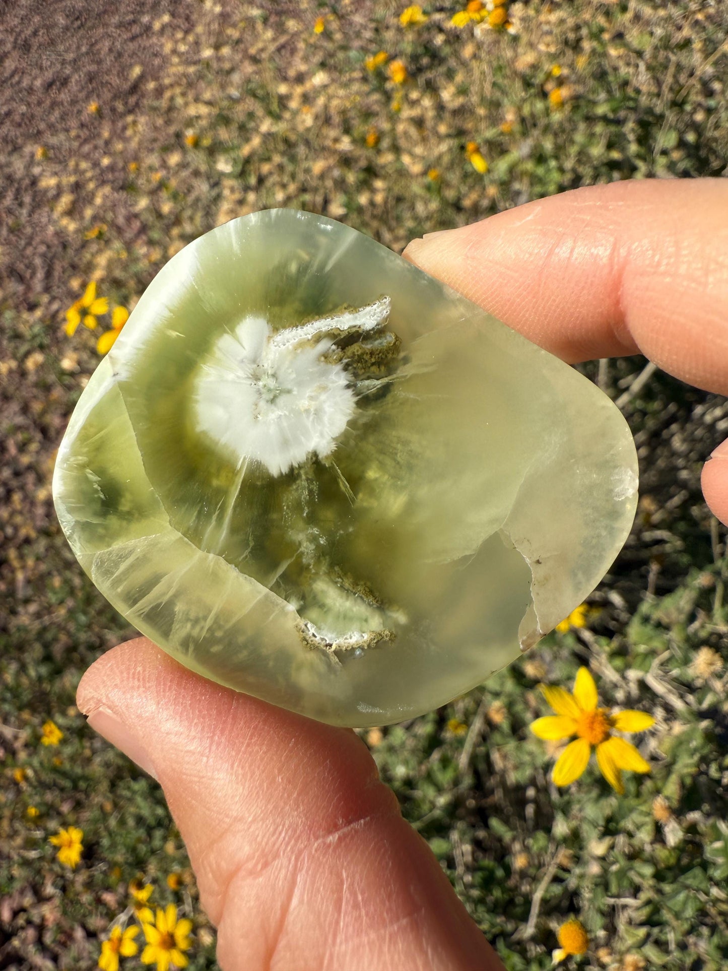 Prehnite Naturalite, Banana Slice Prehnite, Top Quality Prehnite, Wave Hill, Australian Prehnite, Lucid Dreaming, 47.02 grams|235.1 carats