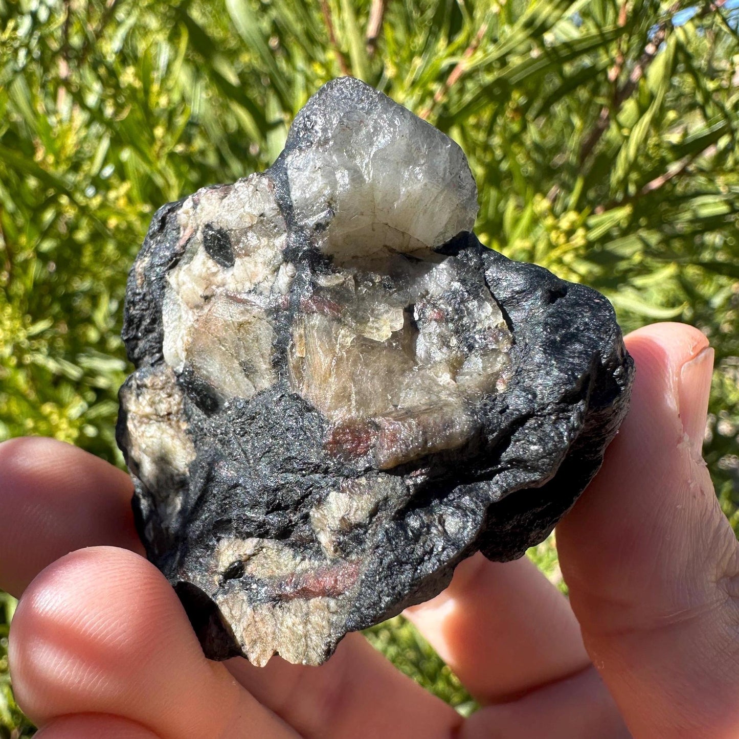 Phenacite|Phenakite Crystal on Biotite Matrix, Brazilian Phenacite, Black Phenacite, Biotite, Authentic Phenacite, 122.38 grams/612 carats