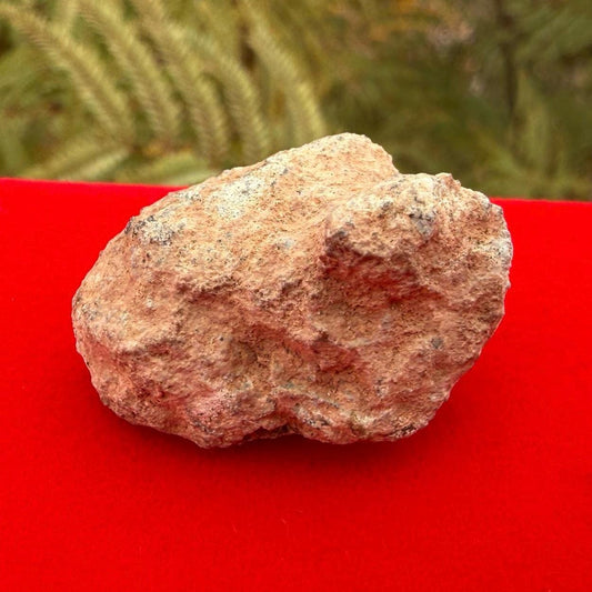 Bechar 007 Moon|Lunar Meteorite, Feldspathic Breccia, Moon Meteorite, Meteorite Collection,Lunar Feldspathic Breccia, 8.82 grams