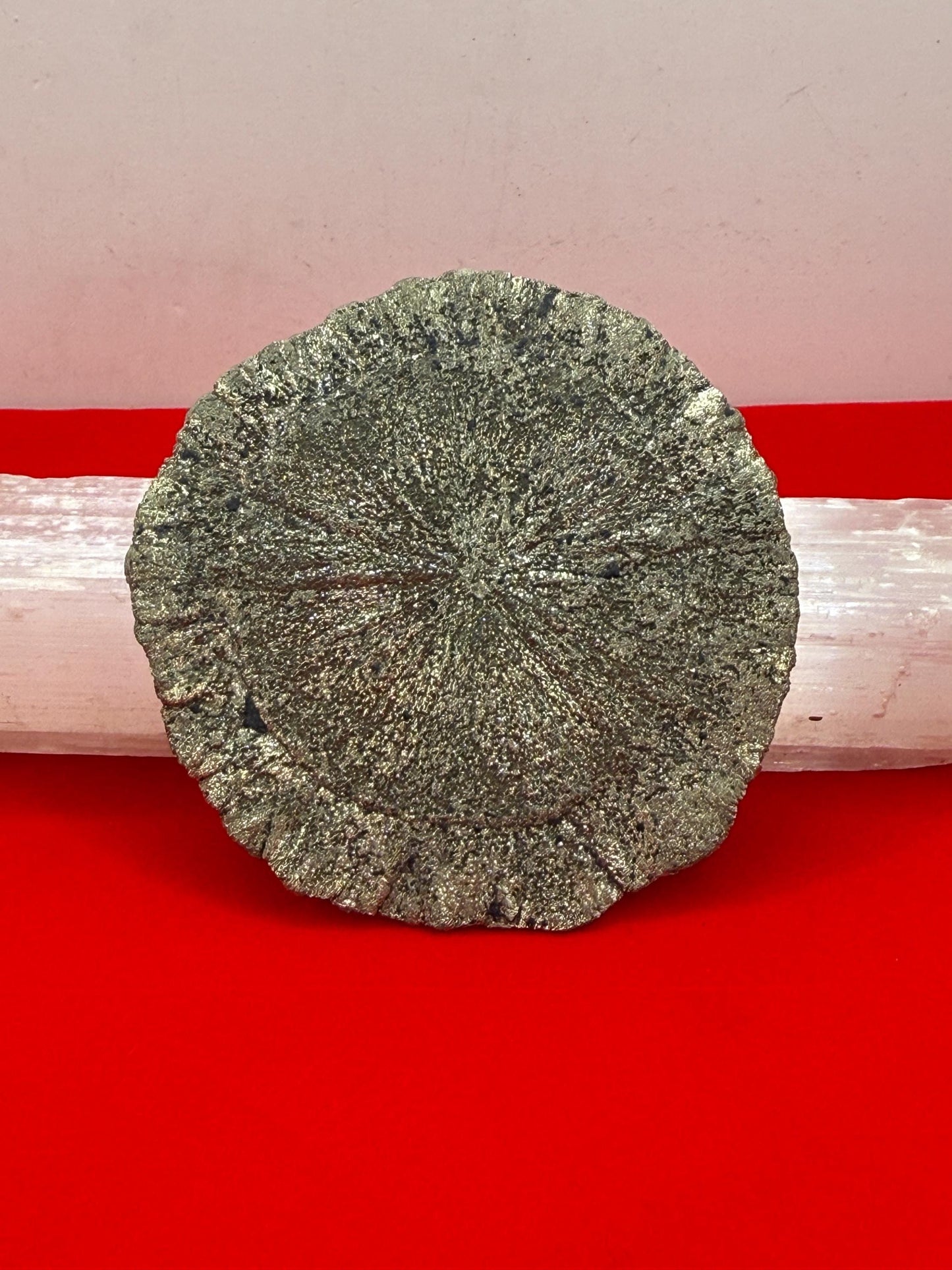 Sparkling Pyrite Sun, Pyrite Dollar, Pyrite, Rock Collection, Sparta Illinois, Radiant Sun, Abundance, Creativity, Energy Work, 60.08 Grams