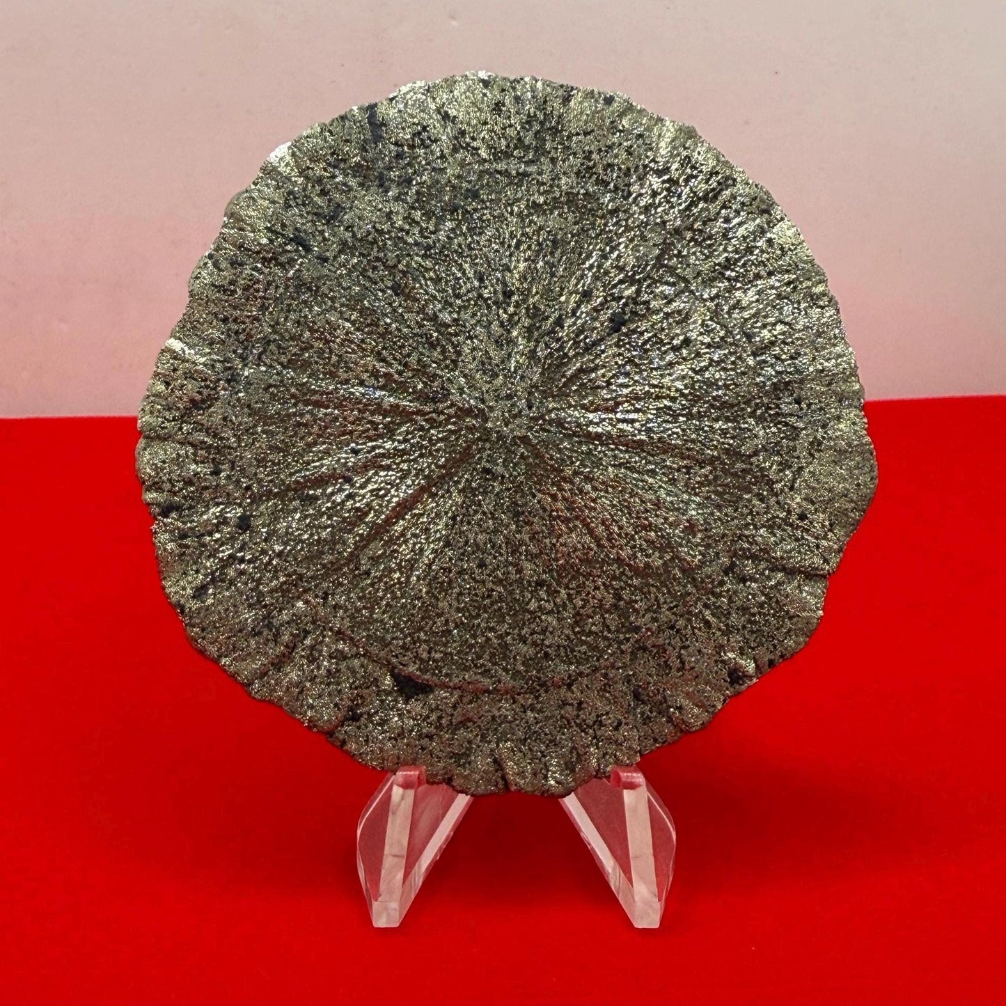 Sparkling Pyrite Sun, Pyrite Dollar, Pyrite, Rock Collection, Sparta Illinois, Radiant Sun, Abundance, Creativity, Energy Work, 60.08 Grams