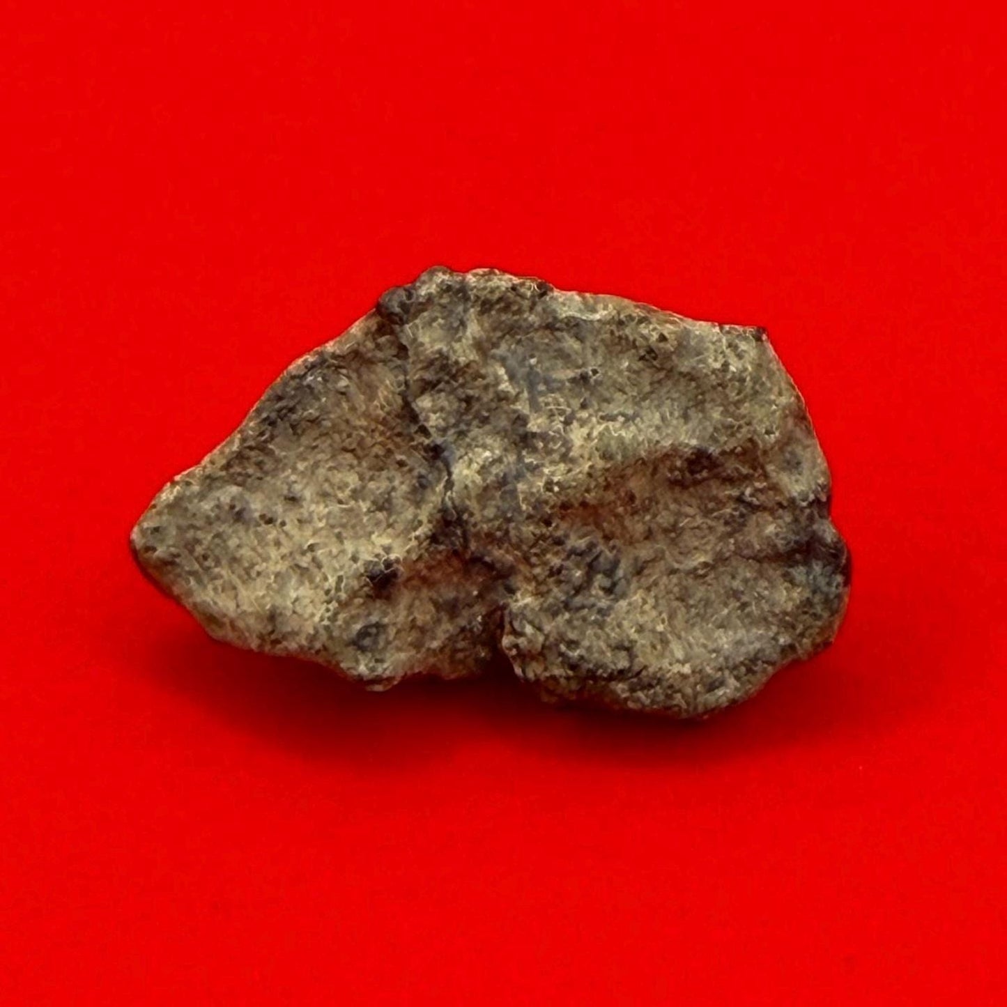 Amgala Mars Meteorite, Mars Meteorite, 5.82 grams, Authentic Meteorite, Amgala, Mars, Authentic Meteorite, COA, Astronomy Gift, Space Gift