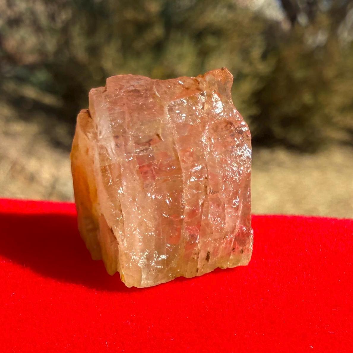 Golden Brazilian Phenacite, 5.57g (27.85 Carats) Tangerine Phenacite, High-Vibration Gemstone from Bahia, Brazil, Rare Collector’s Crystal