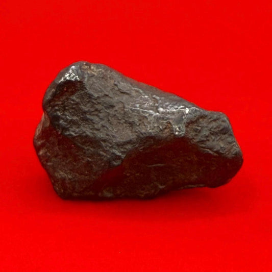 Canyon Diablo Meteorite Specimen, Arizona, 16.55 grams, Rare Meteorite, Iron Meteorite, Astronomy Gift, Space Gift, Energy Work, Meteorite