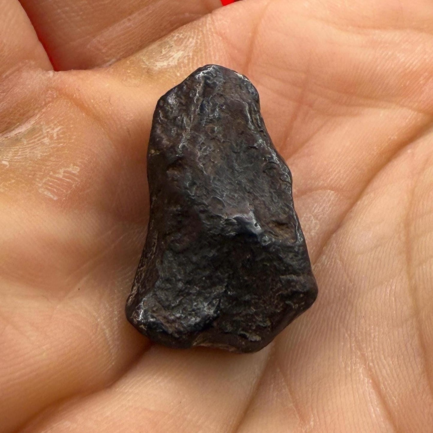 Canyon Diablo Meteorite Specimen, Arizona, 16.55 grams, Rare Meteorite, Iron Meteorite, Astronomy Gift, Space Gift, Energy Work, Meteorite