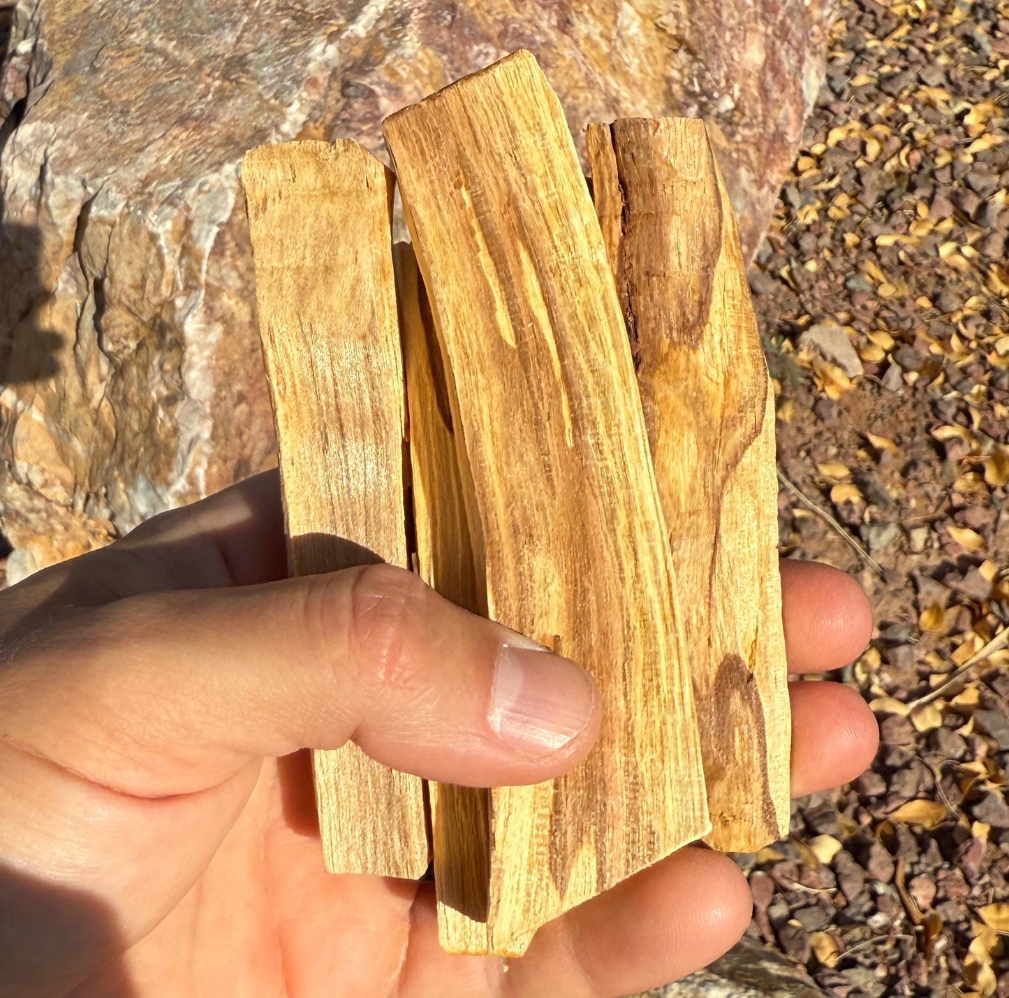 Peruvian Palo Santo Smudge Sticks | 1, 3, 6, 12 Stick Bundles + Aragonite Plate Option for Energy Cleansing & Purification