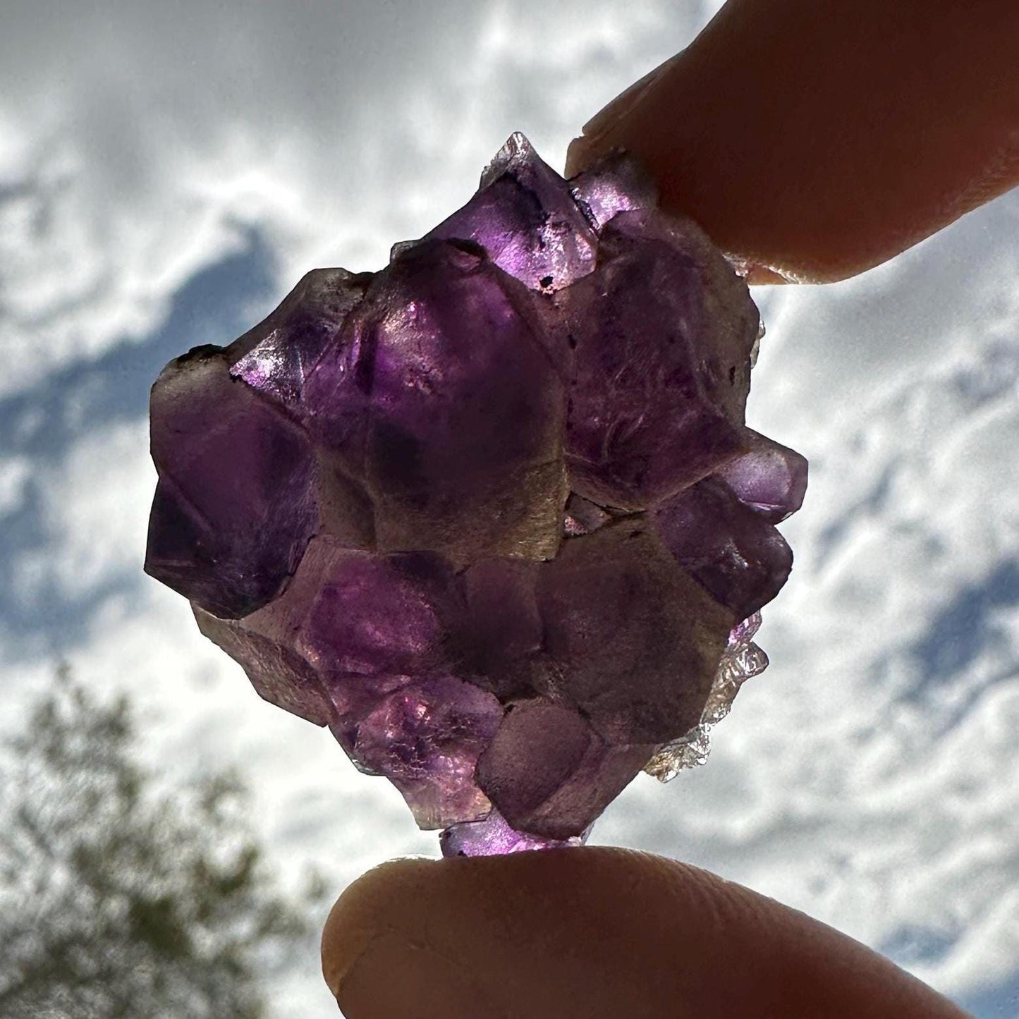 Deep Purple Amethyst Crystal Clusters, Brazilian Amethyst, Raw Amethyst, Crystals, Crystal Collection, Amethyst Quartz, Reiki Healing