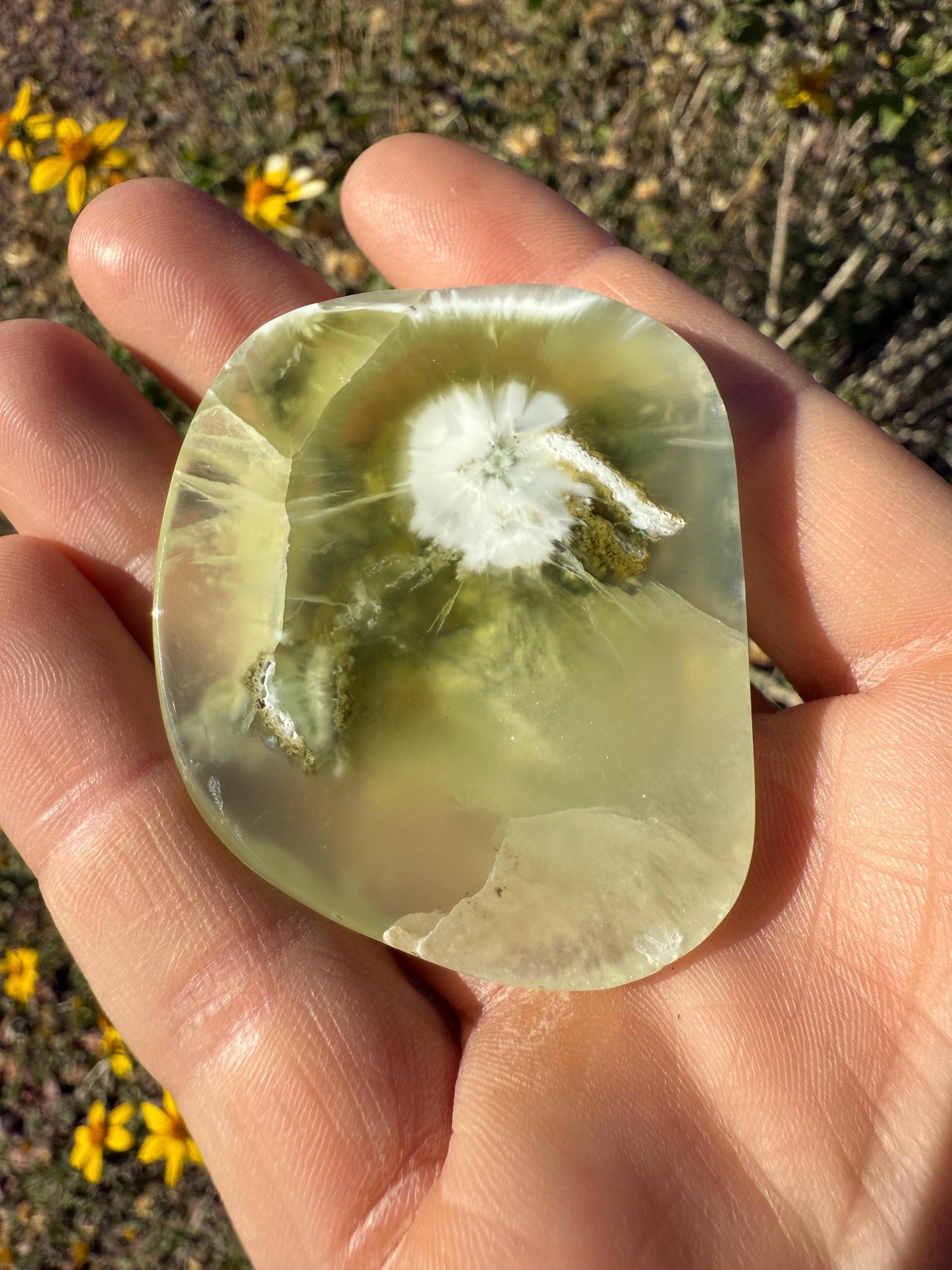 Prehnite Naturalite, Banana Slice Prehnite, Top Quality Prehnite, Wave Hill, Australian Prehnite, Lucid Dreaming, 47.02 grams|235.1 carats