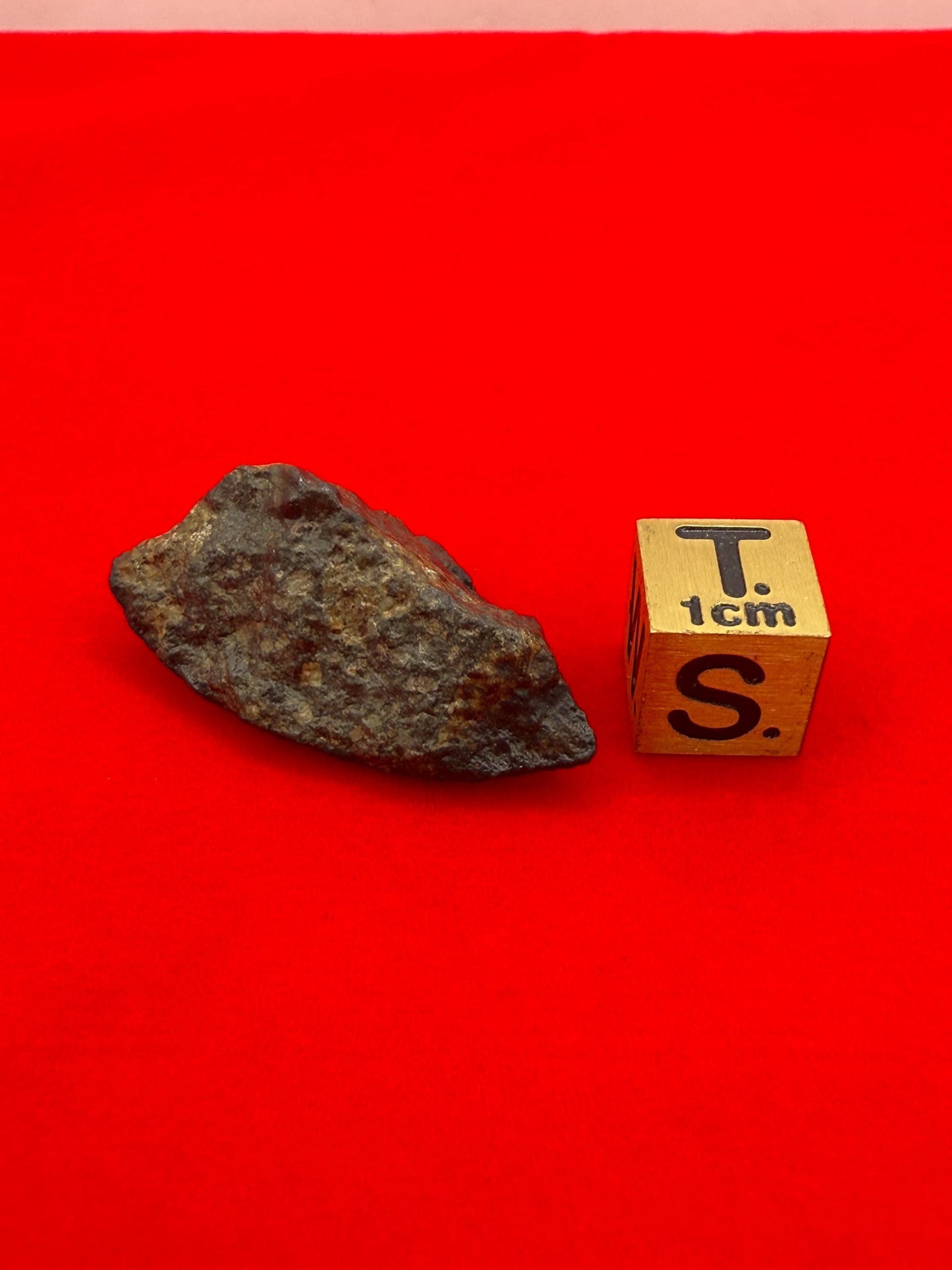 Meteorite NWA 869 Chondrite Stony Meteorite, 8.72 grams, Authentic Meteorite, Authentic Meteorite, COA, Astronomy Gift, Space Gift