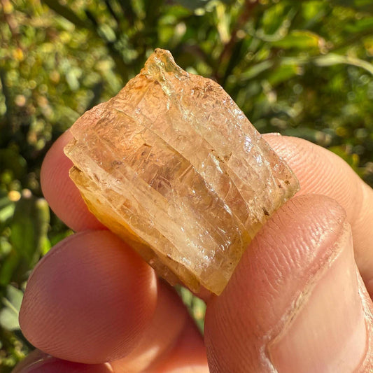 Golden Brazilian Phenacite, 5.57g (27.85 Carats) Tangerine Phenacite, High-Vibration Gemstone from Bahia, Brazil, Rare Collector’s Crystal