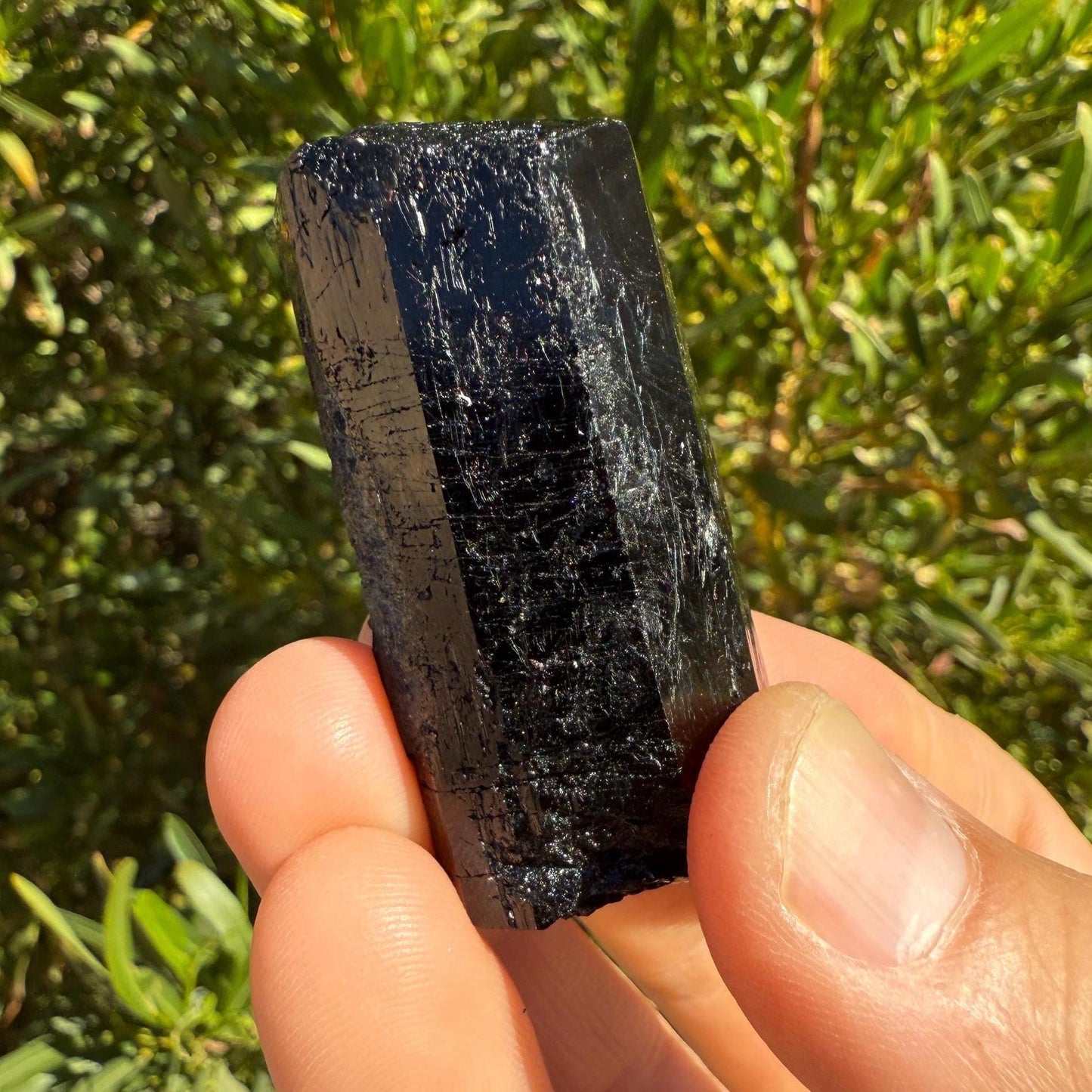 Dravite Crystal Specimen, Yinnietharra Dravite Mine, Australia, Brown Tourmaline, Grounding, Protection Crystal, Reiki Healing, 50.00 Grams
