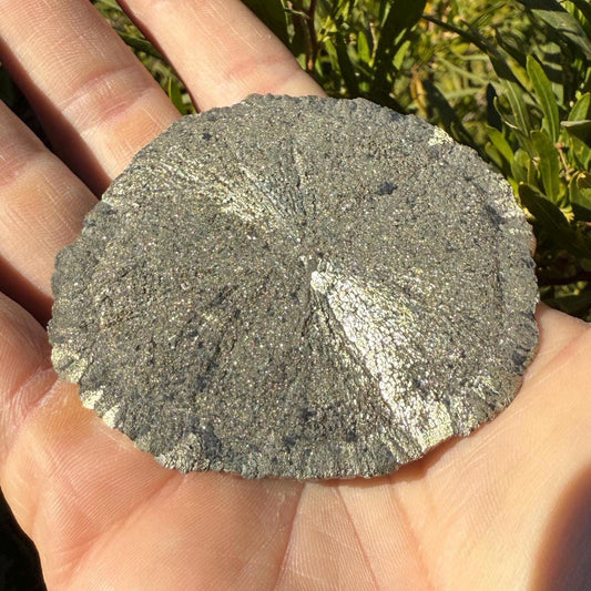 Sparkling Pyrite Sun, Pyrite Dollar, Pyrite, Rock Collection, Sparta Illinois, Radiant Sun, Abundance, Creativity, Energy Work, 83.81 Grams