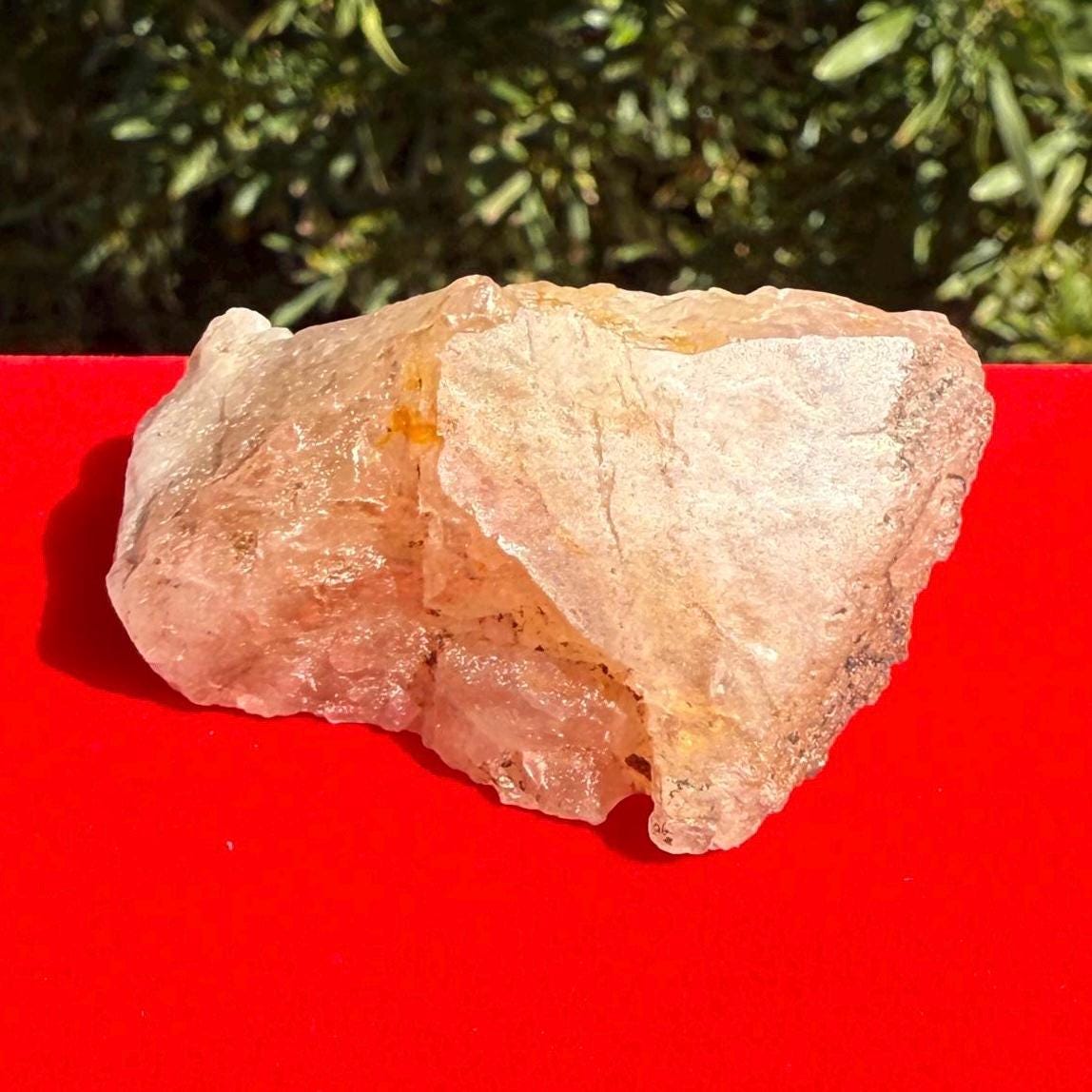 Rare Golden Brazilian Phenacite Crystal 64.67g, 323.35 carats, High-Vibration Energy Stone, Spiritual Growth, Transformation, and Meditation
