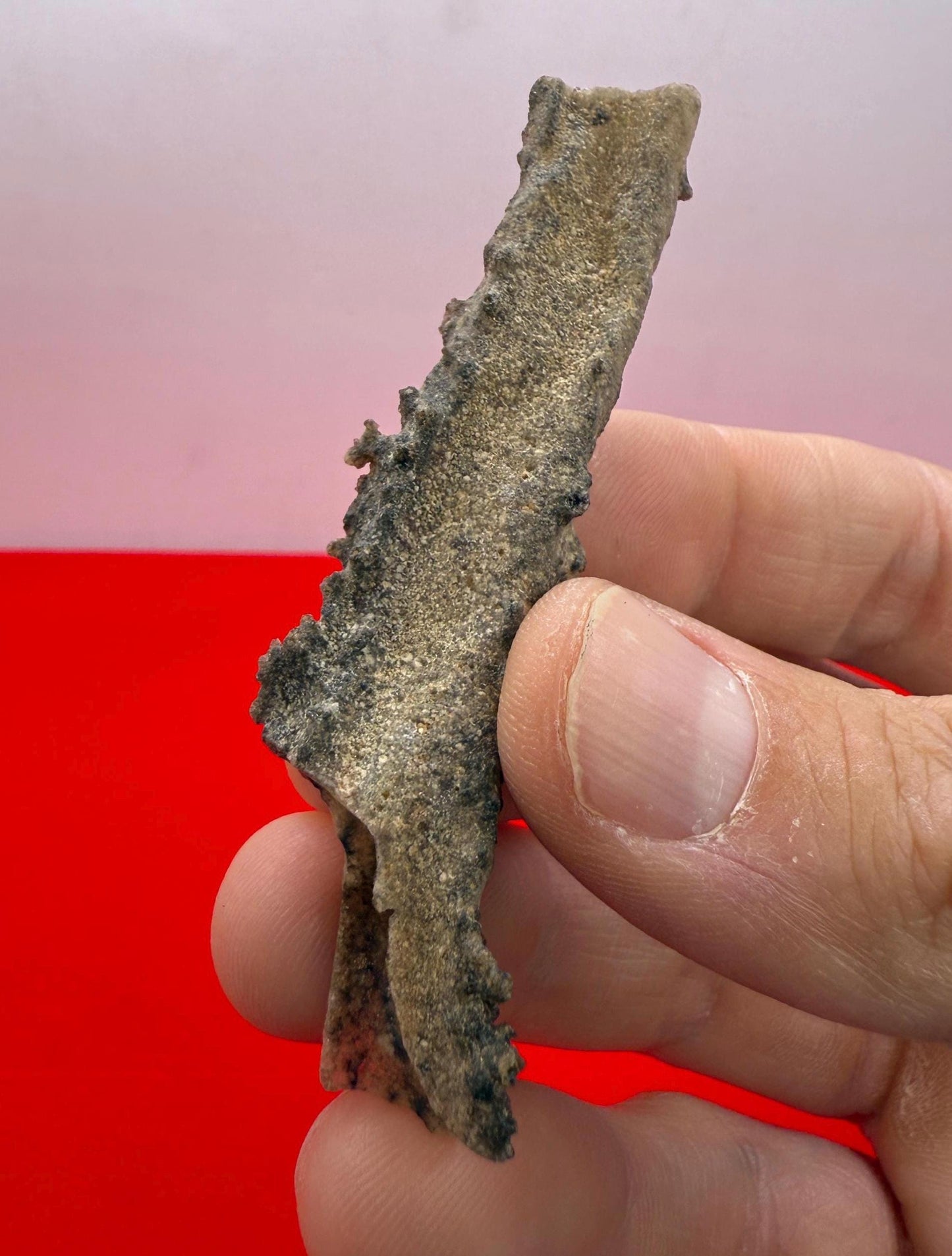 Fulgerite from Egypt, Fossilized Lighting, Sahara Desert, Rock Collection, Energy Work, Reiki, Manifestation, Science Gift, 2.75 grams