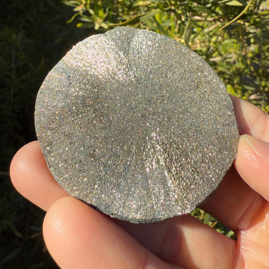 Sparkling Pyrite Sun, Pyrite Dollar, Pyrite, Rock Collection, Sparta Illinois, Radiant Sun, Abundance, Creativity, Energy Work, 61.99 Grams