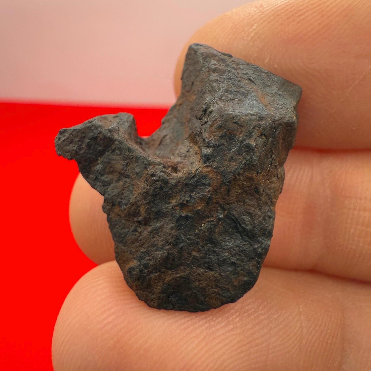 Canyon Diablo Meteorite Specimen, Arizona, 7.66 grams, Rare Meteorite, Iron Meteorite, Astronomy Gift, Space Gift, Energy Work, Meteorite
