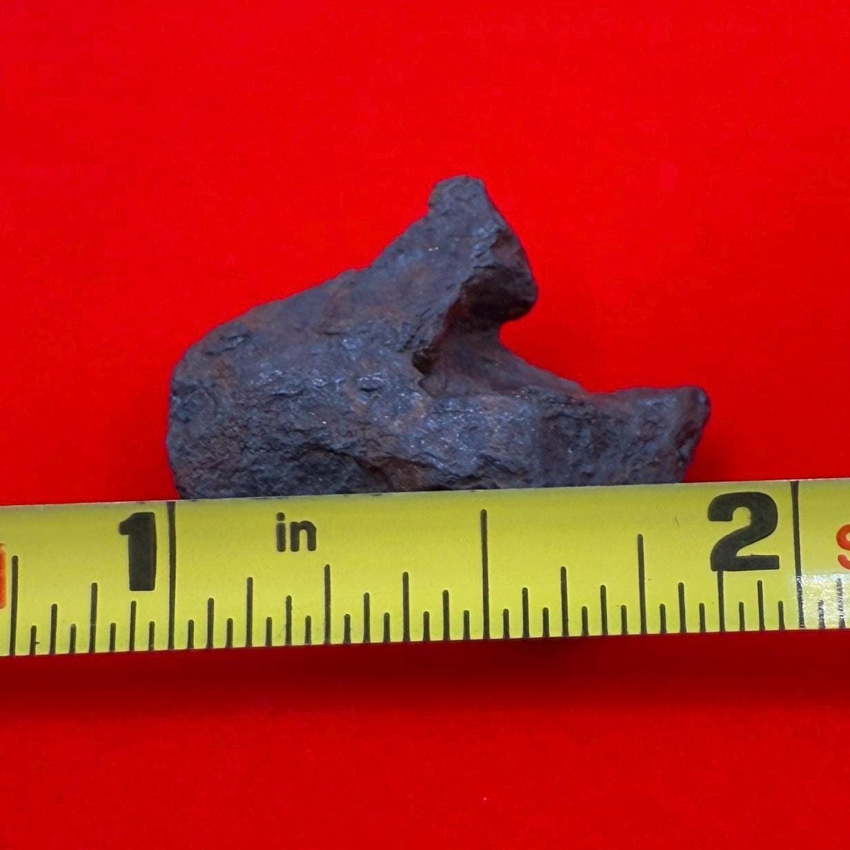 Canyon Diablo Meteorite Specimen, Arizona, 7.66 grams, Rare Meteorite, Iron Meteorite, Astronomy Gift, Space Gift, Energy Work, Meteorite