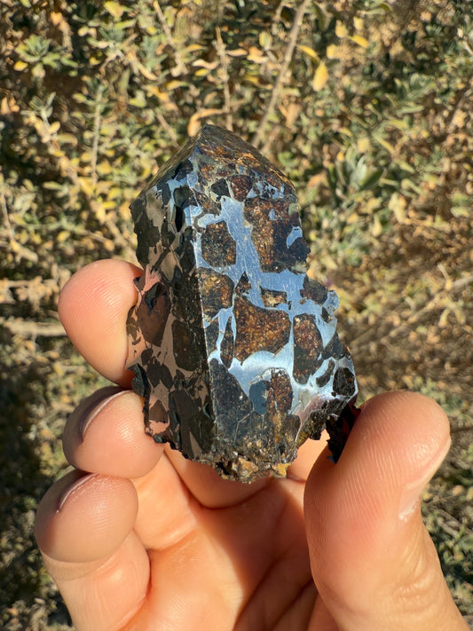 Seymchan Polished Pallasite Meteorite, Augudal Meteorite, Astronomy Gift, Stony Iron Meteorite, Meteorite Collection, COA, 59.55g, 72.41g
