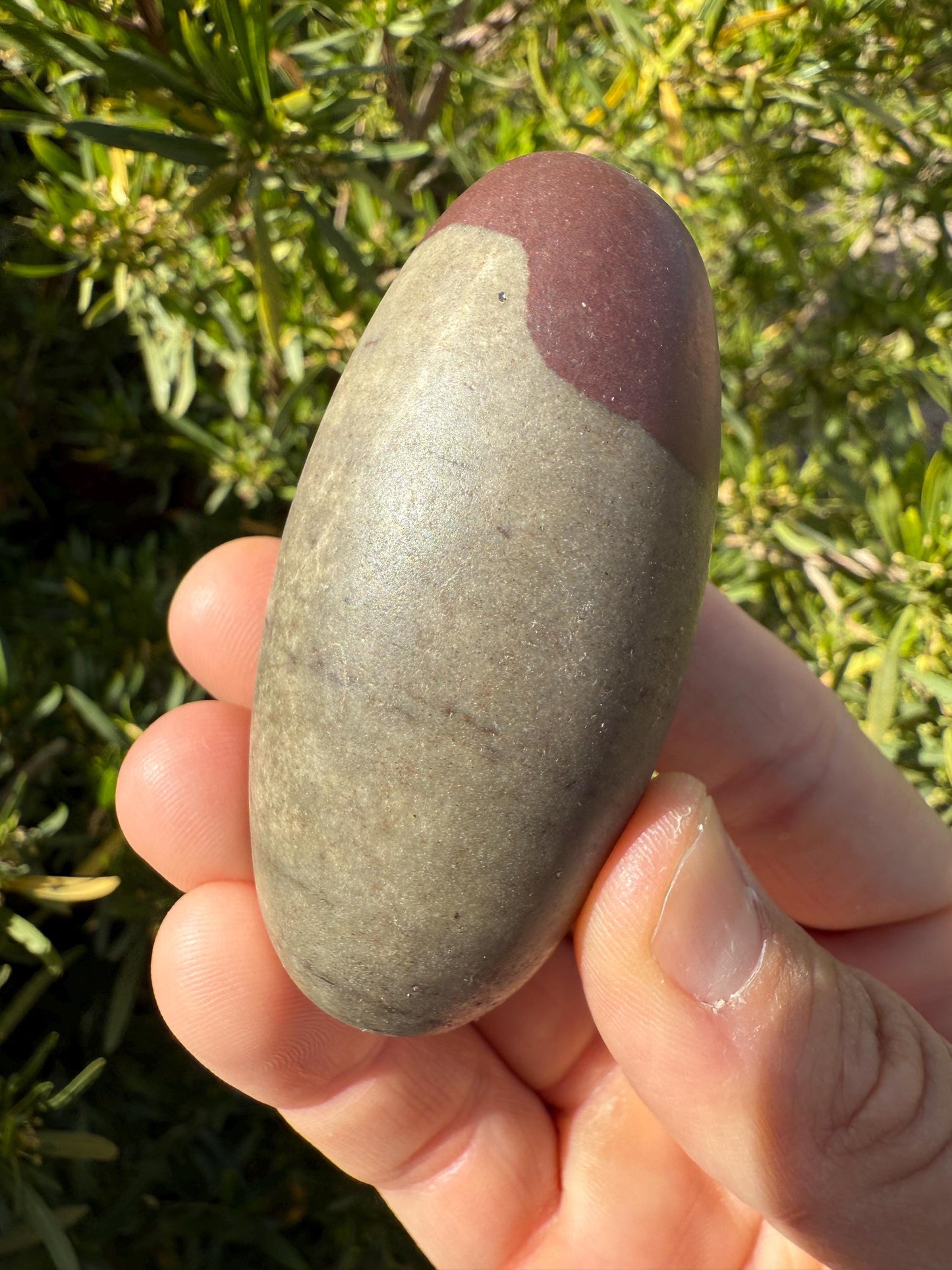 Beautiful Shiva Lingam, India, Hindu God, weighs 4.4 ounces, Shiva, Fertility Stone, Energy Work, Reiki, Rock Collection