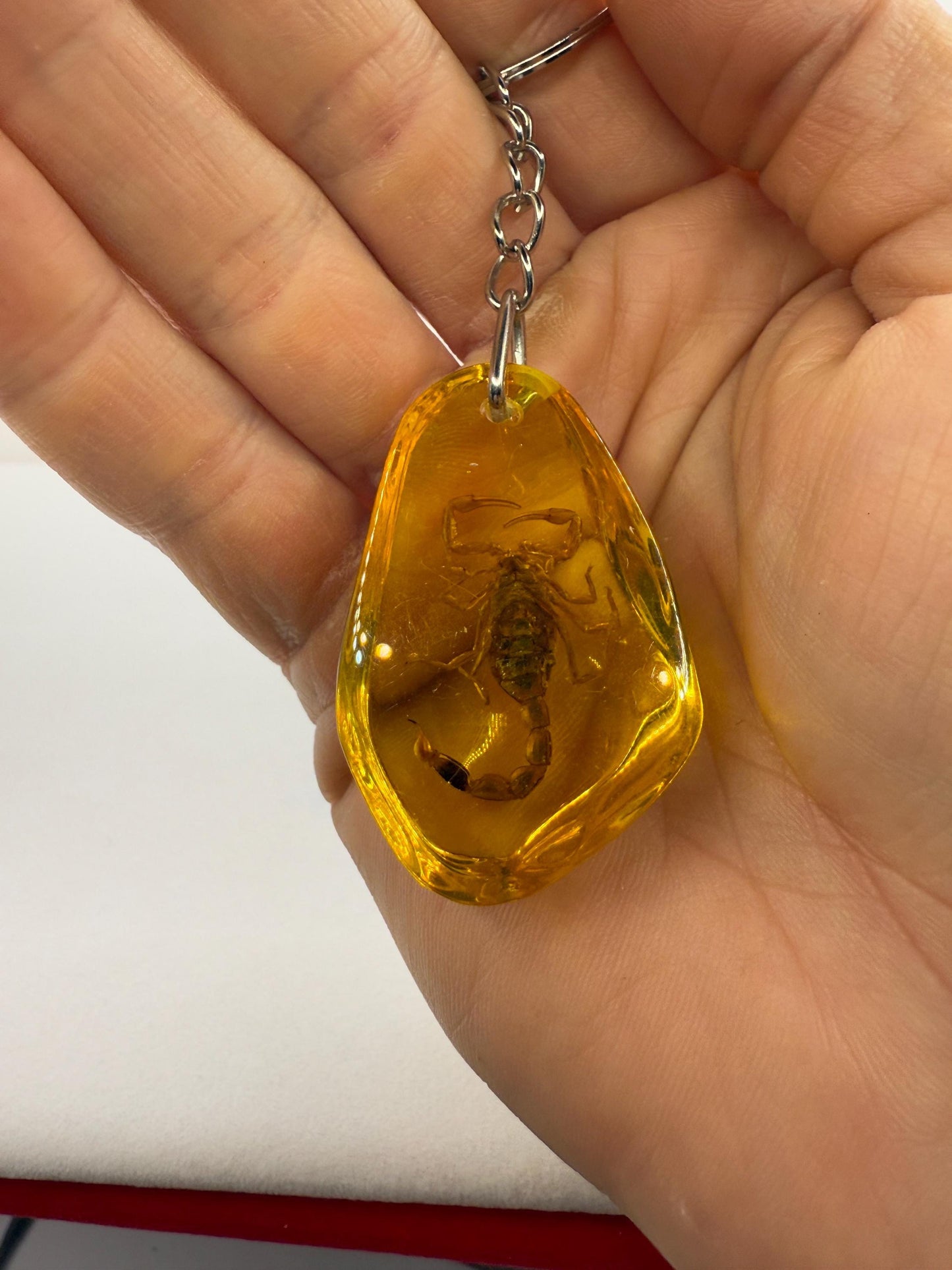 Scorpion Amber Keychain, Scorpion Keychain, Scorpion, Backpack Keychain, Unique Keychain, Scorpio, Arizona Gift, Arizona Scorpion