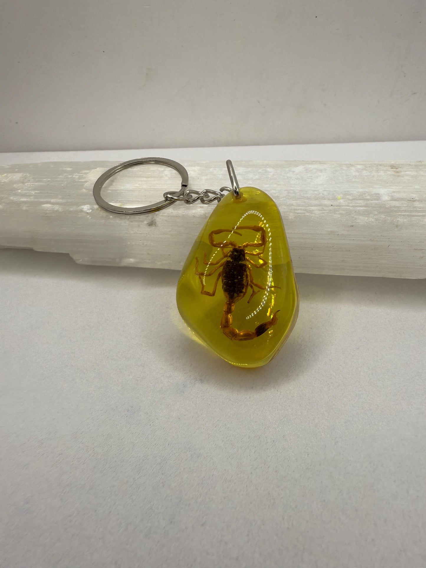 Scorpion Amber Keychain, Scorpion Keychain, Scorpion, Backpack Keychain, Unique Keychain, Scorpio, Arizona Gift, Arizona Scorpion