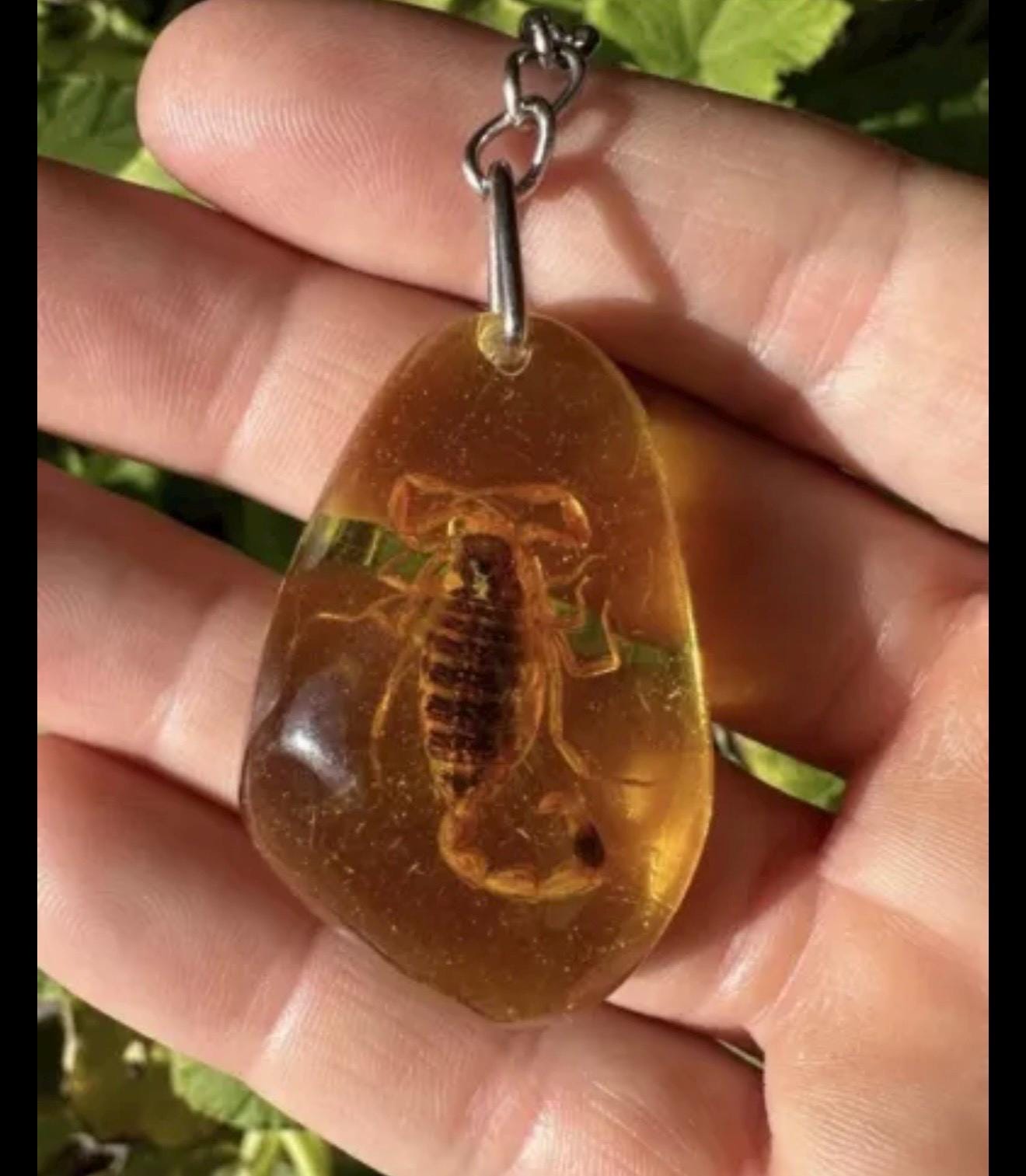 Scorpion Amber Keychain, Scorpion Keychain, Scorpion, Backpack Keychain, Unique Keychain, Scorpio, Arizona Gift, Arizona Scorpion