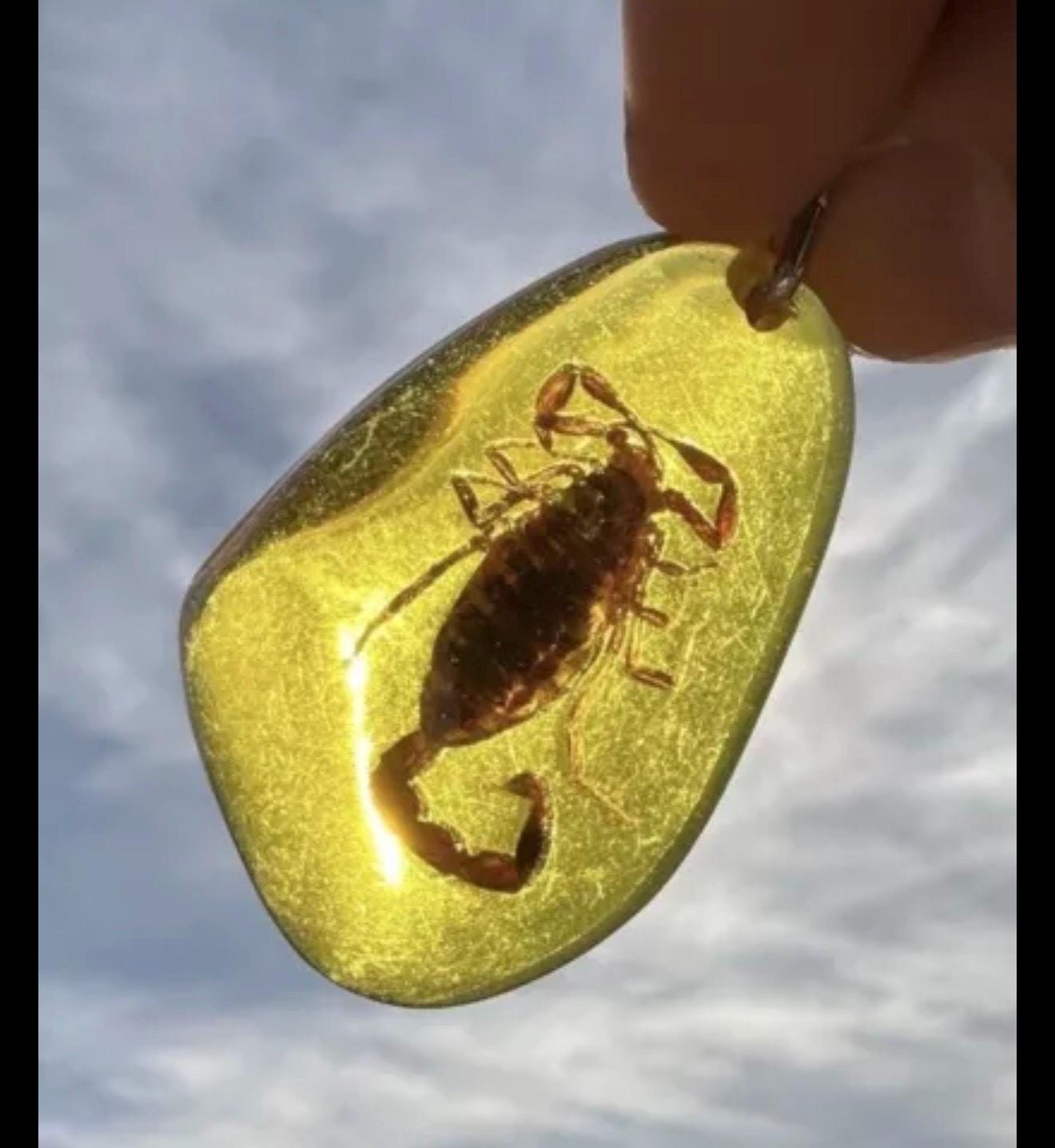 Scorpion Amber Keychain, Scorpion Keychain, Scorpion, Backpack Keychain, Unique Keychain, Scorpio, Arizona Gift, Arizona Scorpion