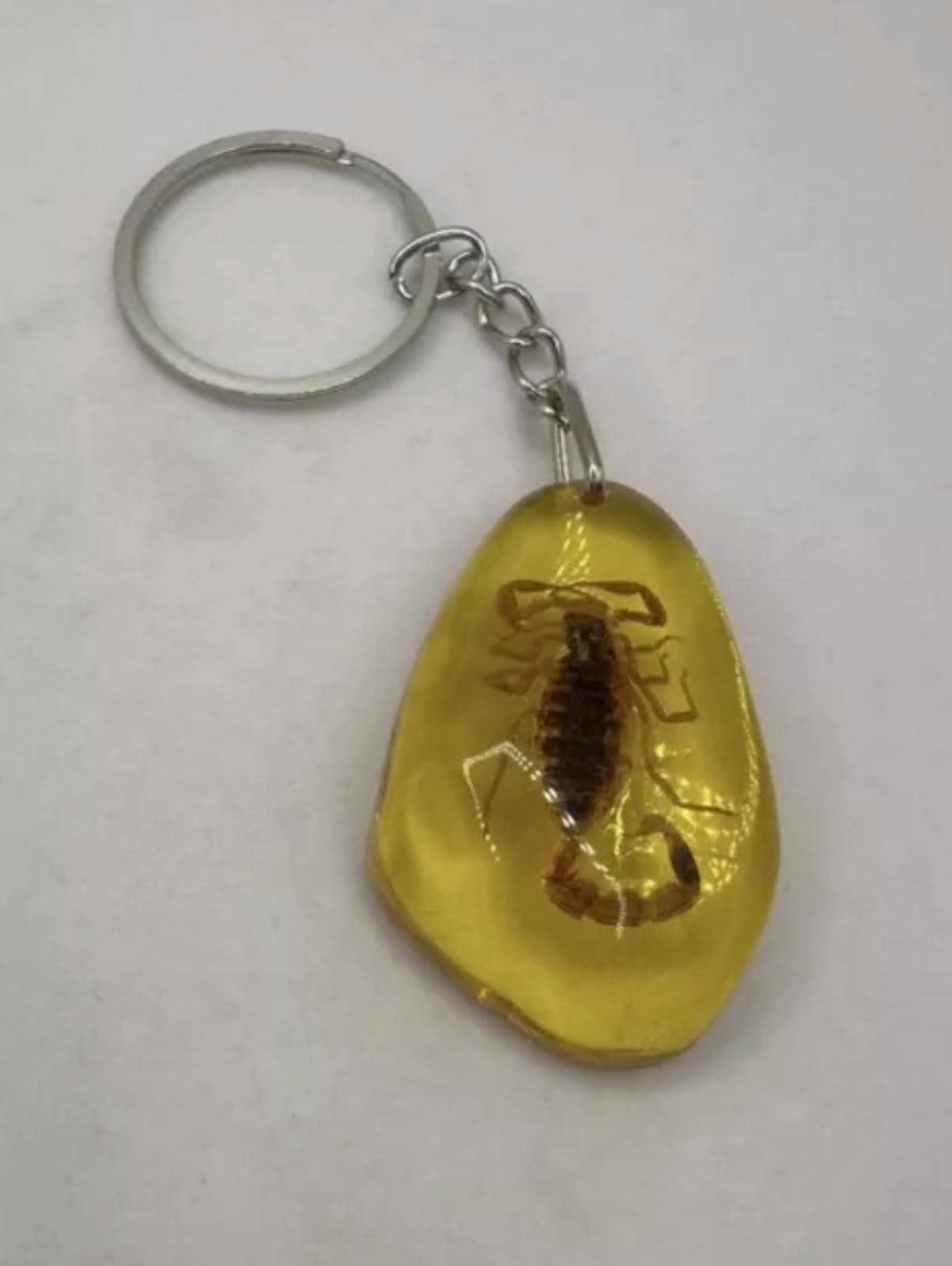 Scorpion Amber Keychain, Scorpion Keychain, Scorpion, Backpack Keychain, Unique Keychain, Scorpio, Arizona Gift, Arizona Scorpion