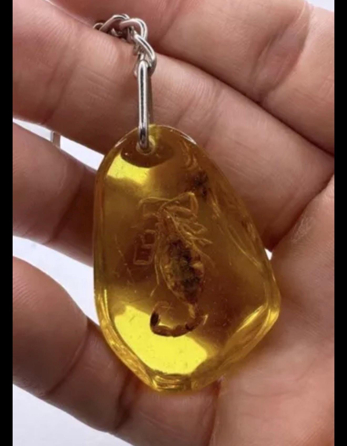 Scorpion Amber Keychain, Scorpion Keychain, Scorpion, Backpack Keychain, Unique Keychain, Scorpio, Arizona Gift, Arizona Scorpion