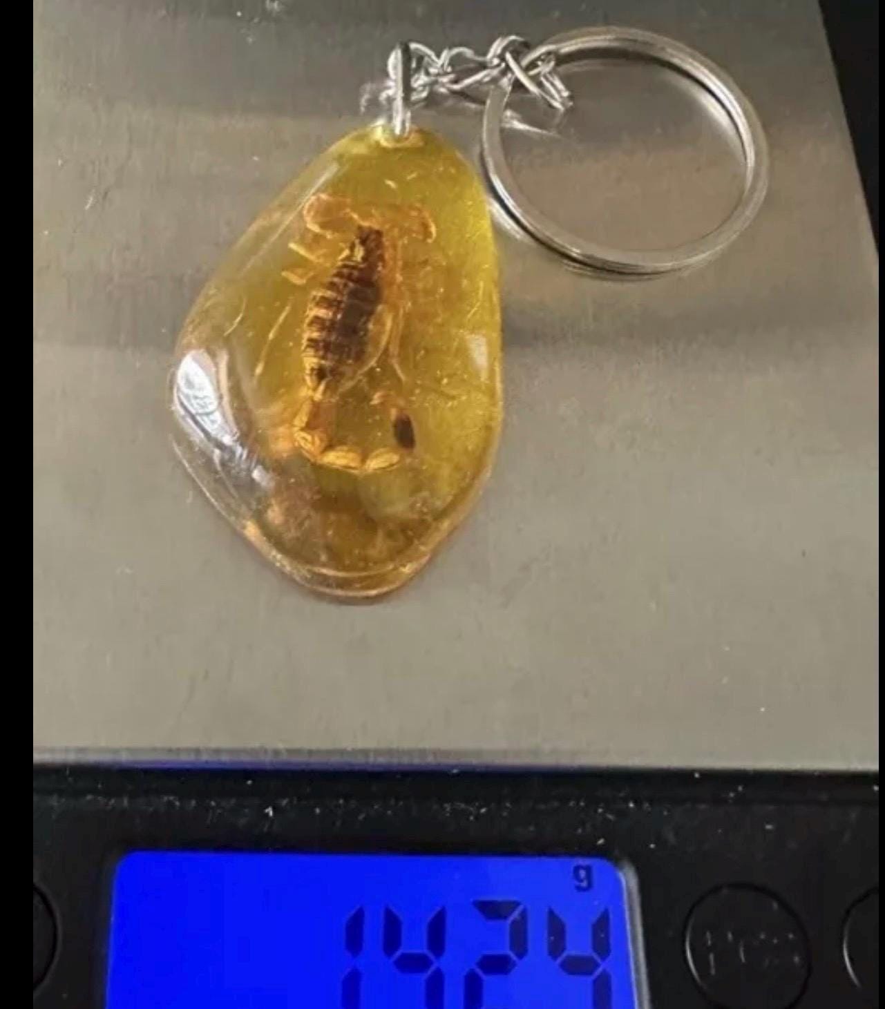 Scorpion Amber Keychain, Scorpion Keychain, Scorpion, Backpack Keychain, Unique Keychain, Scorpio, Arizona Gift, Arizona Scorpion