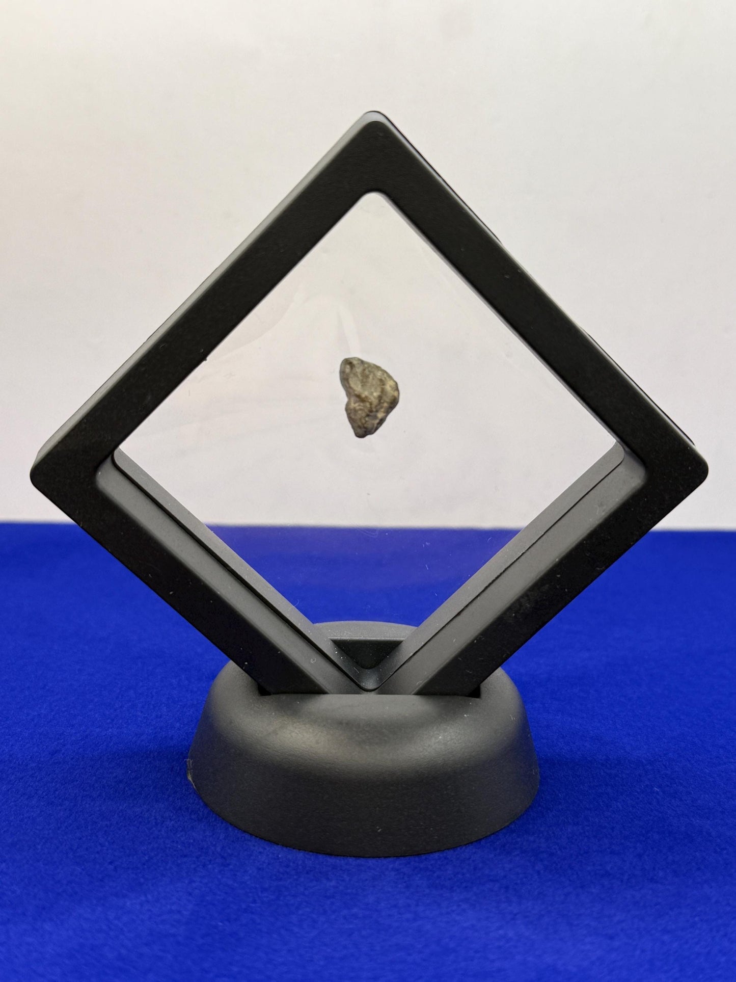 NWA 13974 Moon|Lunar Meteorite, Feldspathic Breccia, Moon Meteorite, Meteorite Collection, Lunar Feldspathic Breccia, 0.69 grams