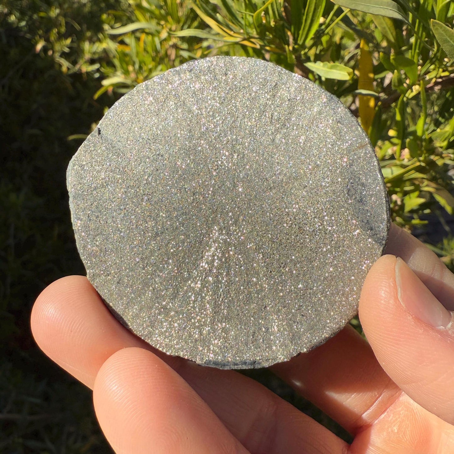 Sparkling Pyrite Sun, Pyrite Dollar, Pyrite, Rock Collection, Sparta Illinois, Radiant Sun, Abundance, Creativity, Energy Work, 61.99 Grams