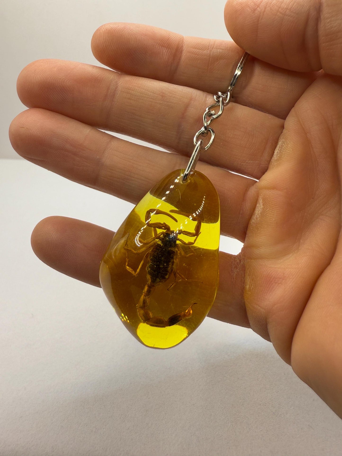 Scorpion Amber Keychain, Scorpion Keychain, Scorpion, Backpack Keychain, Unique Keychain, Scorpio, Arizona Gift, Arizona Scorpion